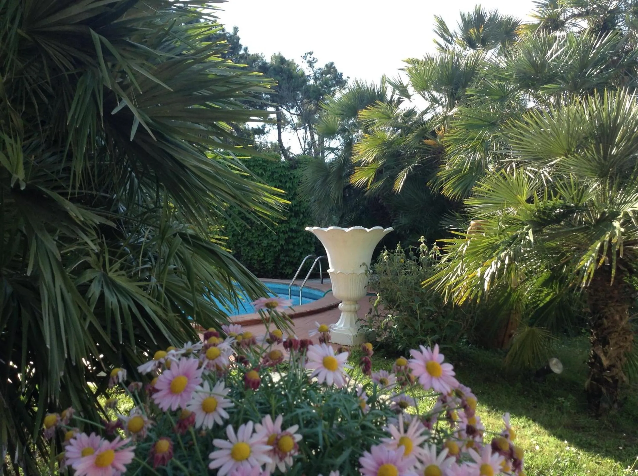 Garden in Hotel Villa Maremonti