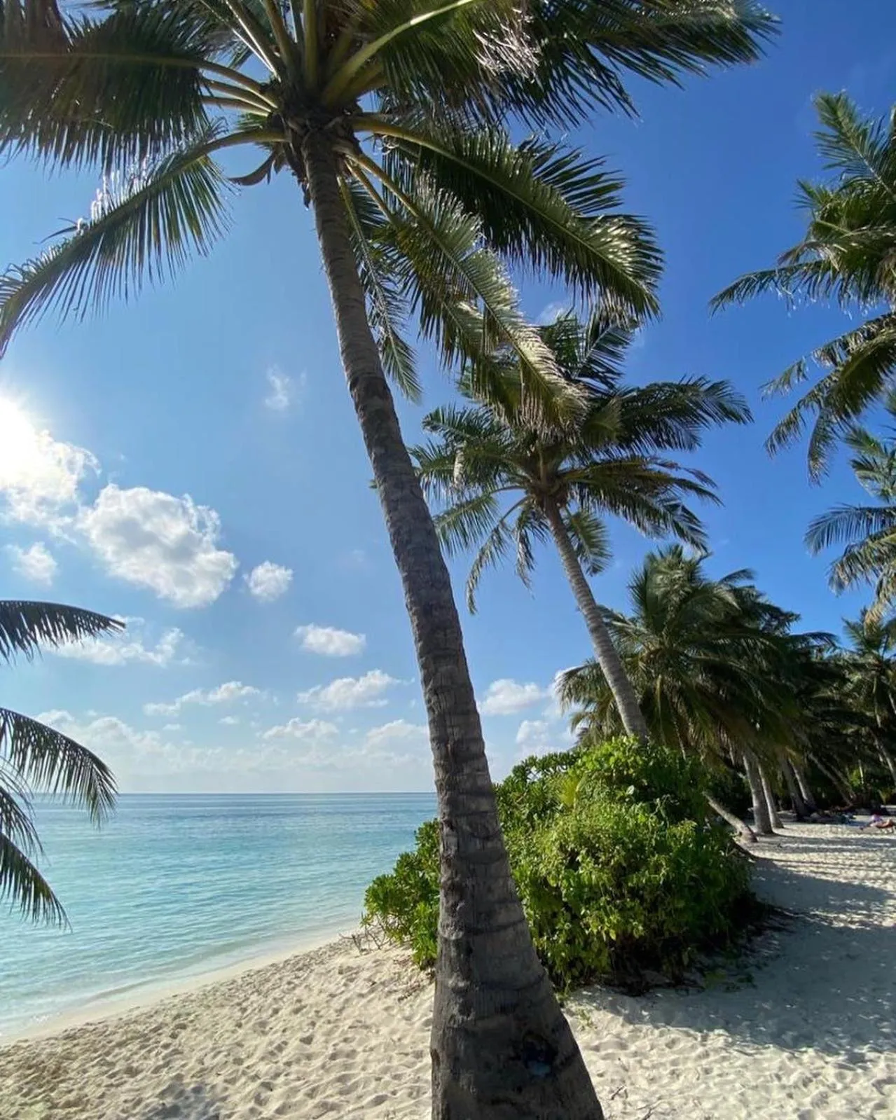 Beach in chillax Thoddoo