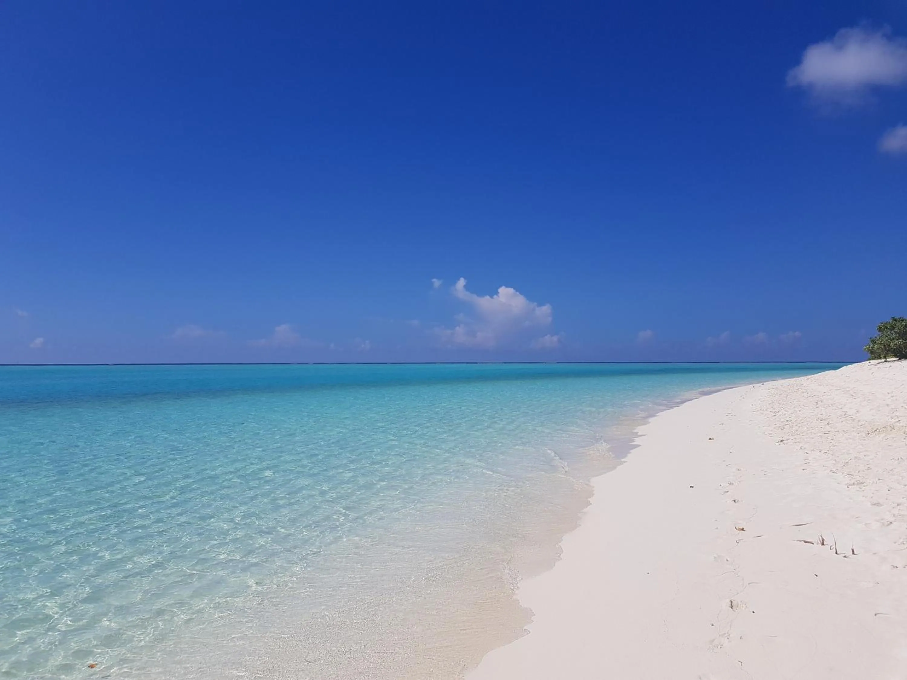 Beach in chillax Thoddoo