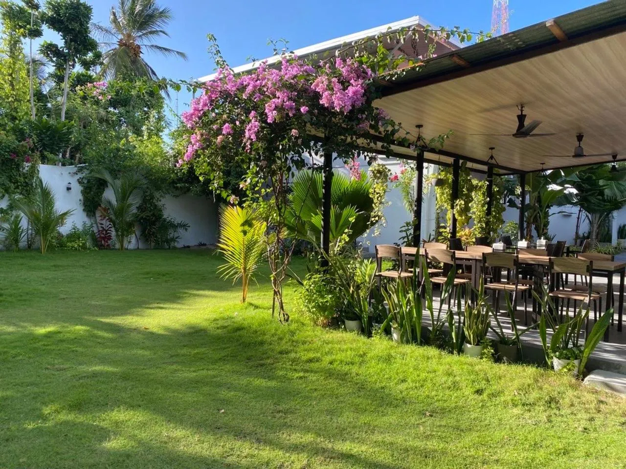 Garden in chillax Thoddoo