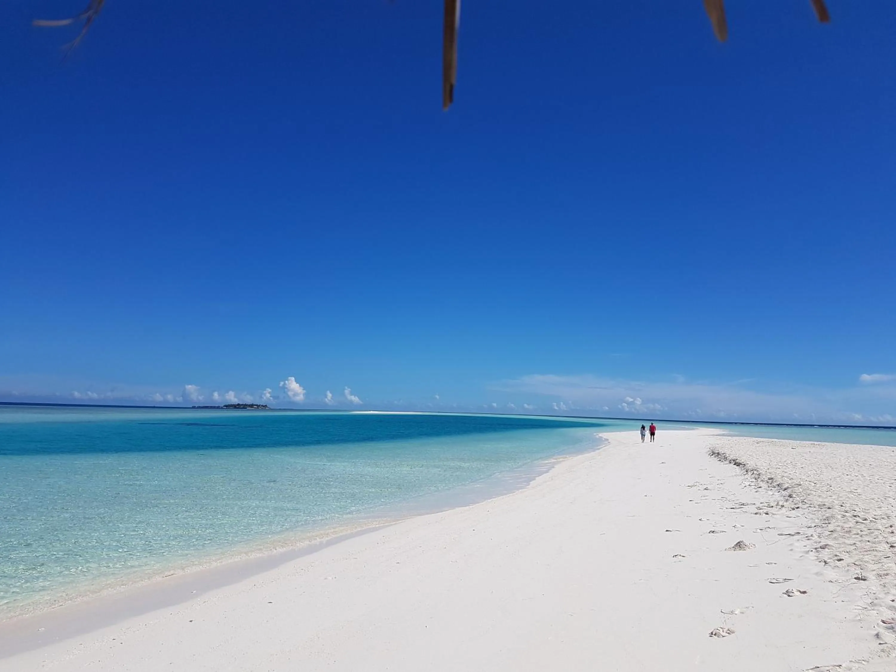 Beach in chillax Thoddoo