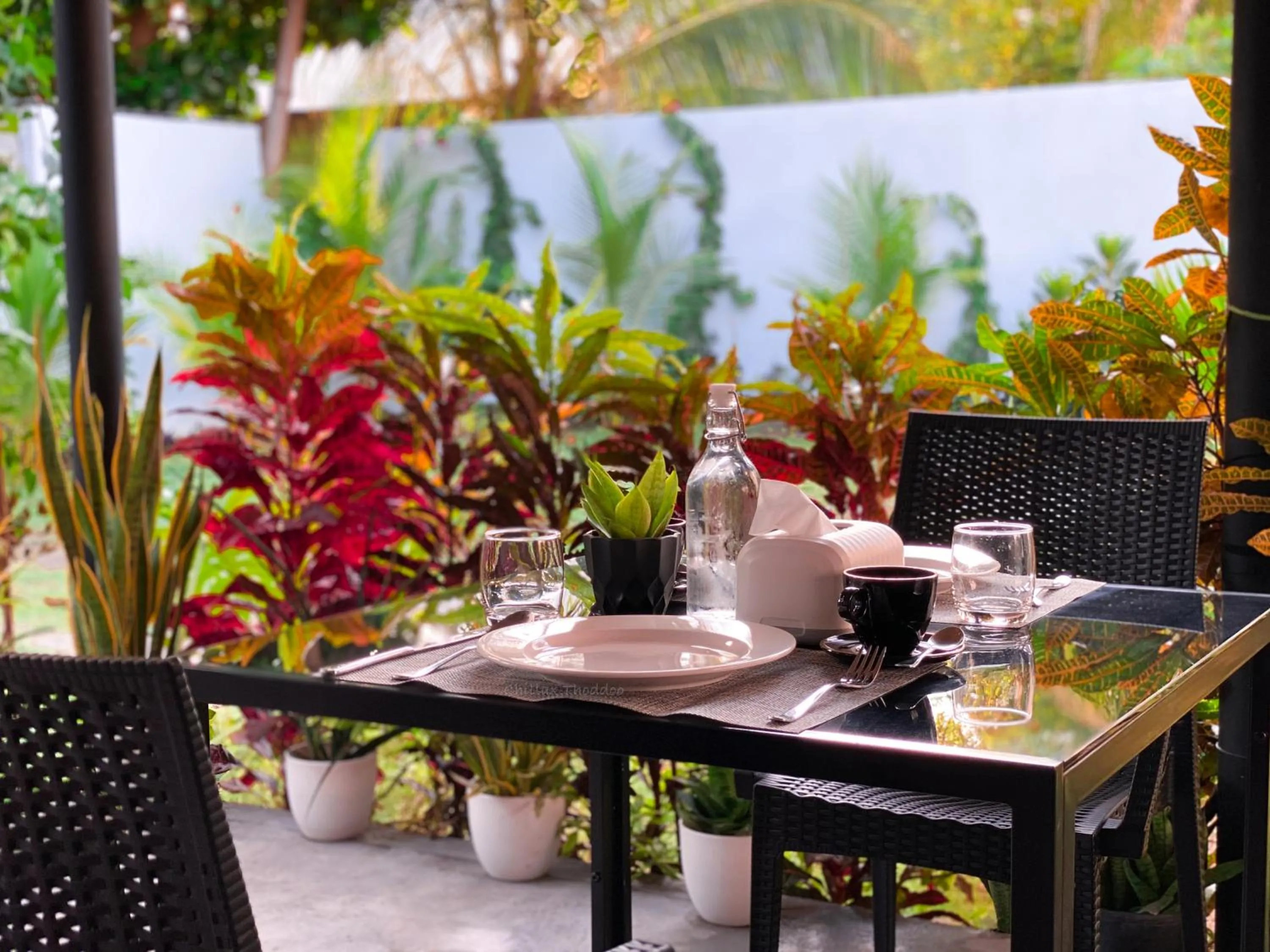 Garden in chillax Thoddoo