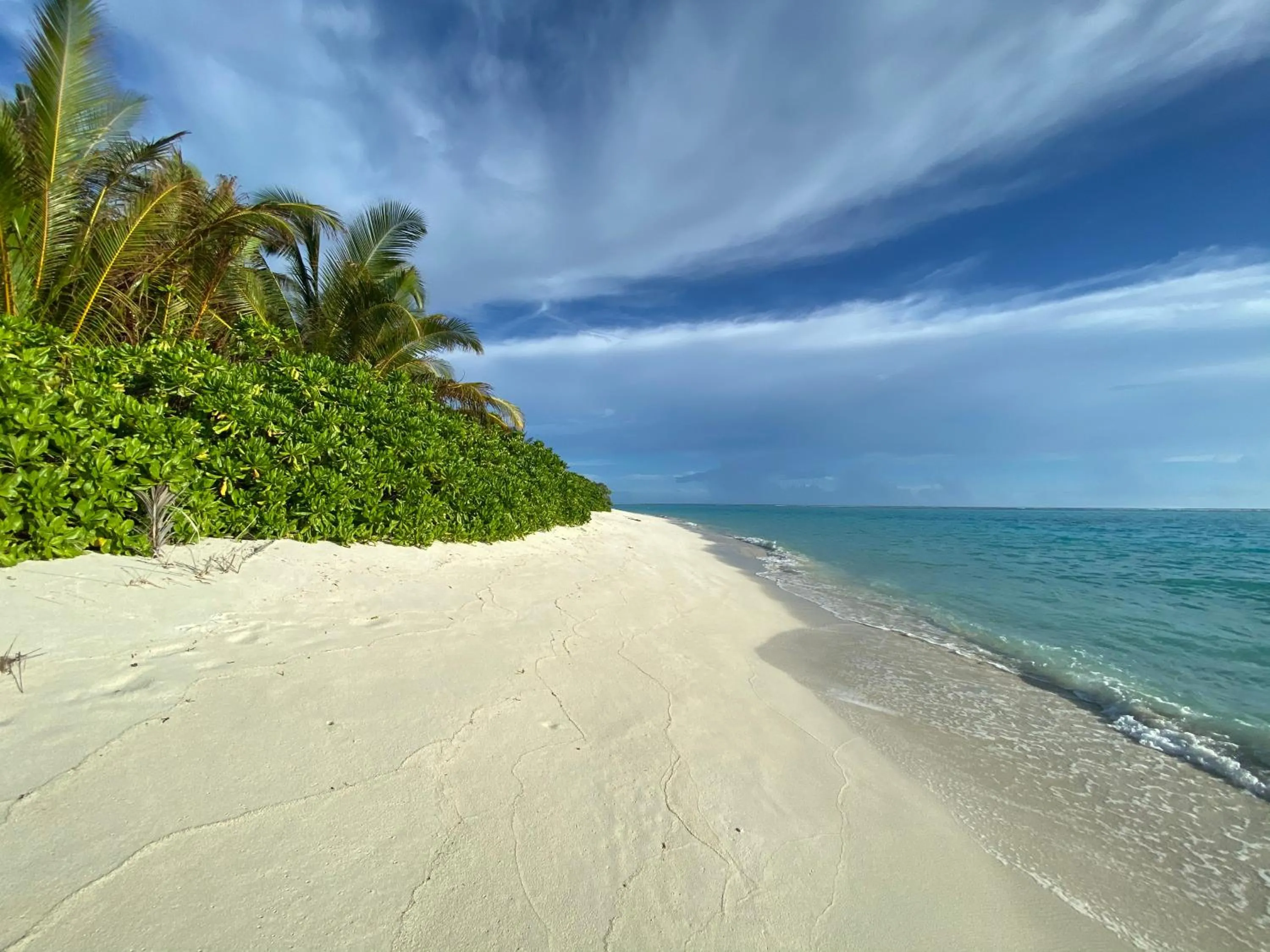 Beach in chillax Thoddoo