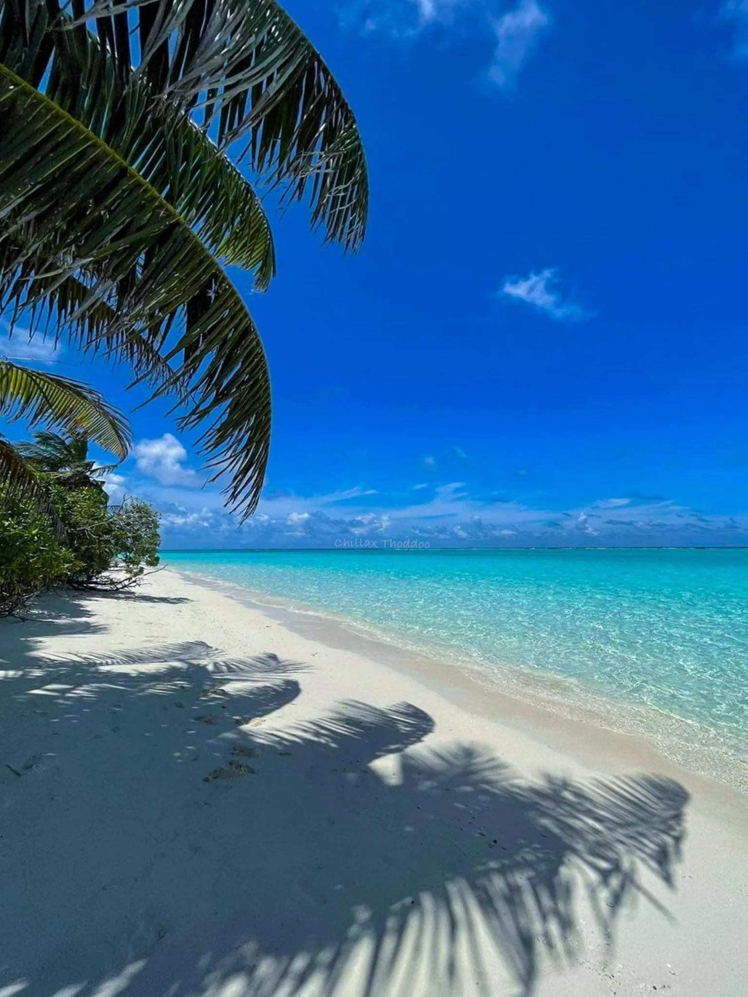 Beach in chillax Thoddoo