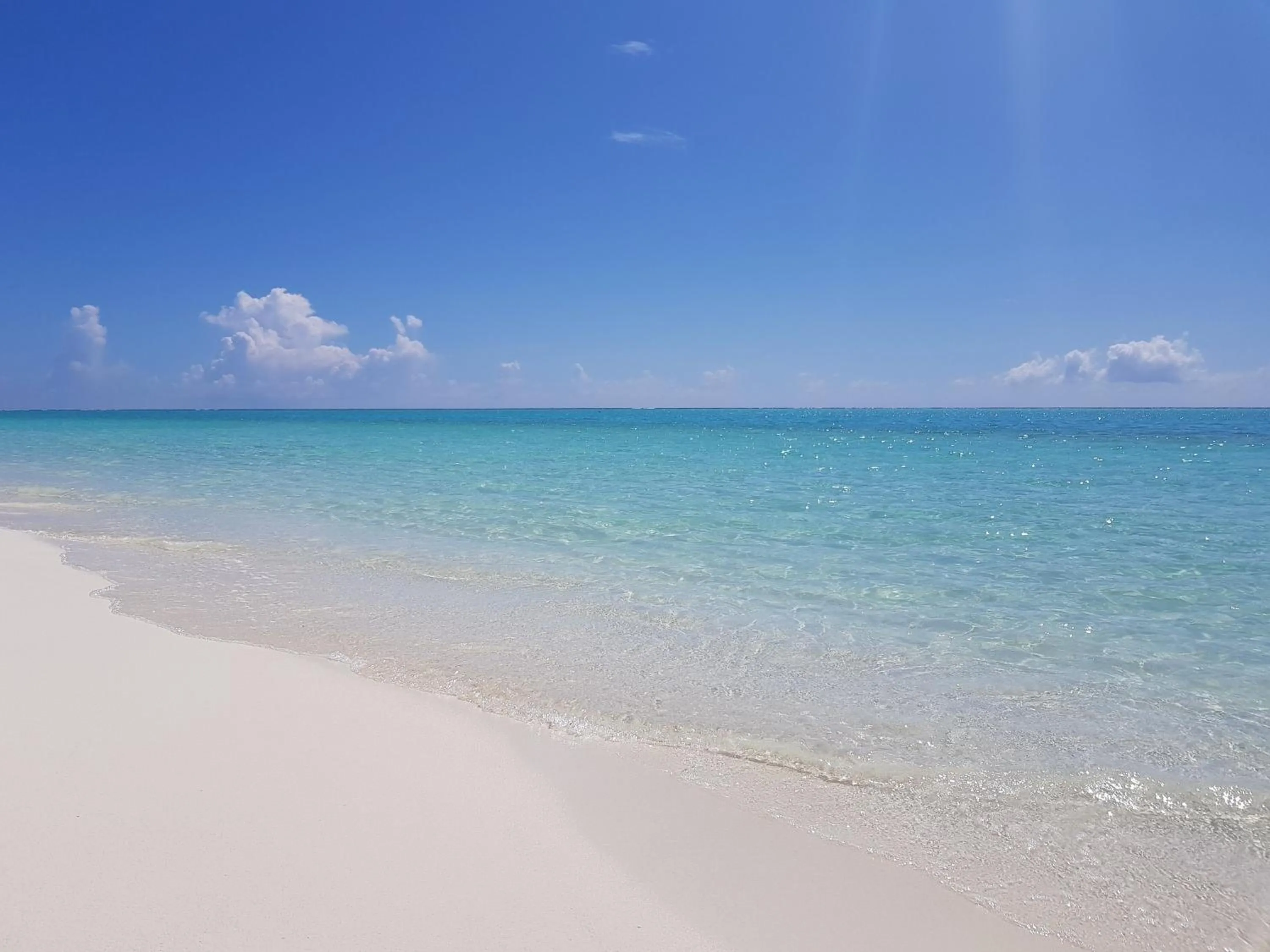 Beach in chillax Thoddoo