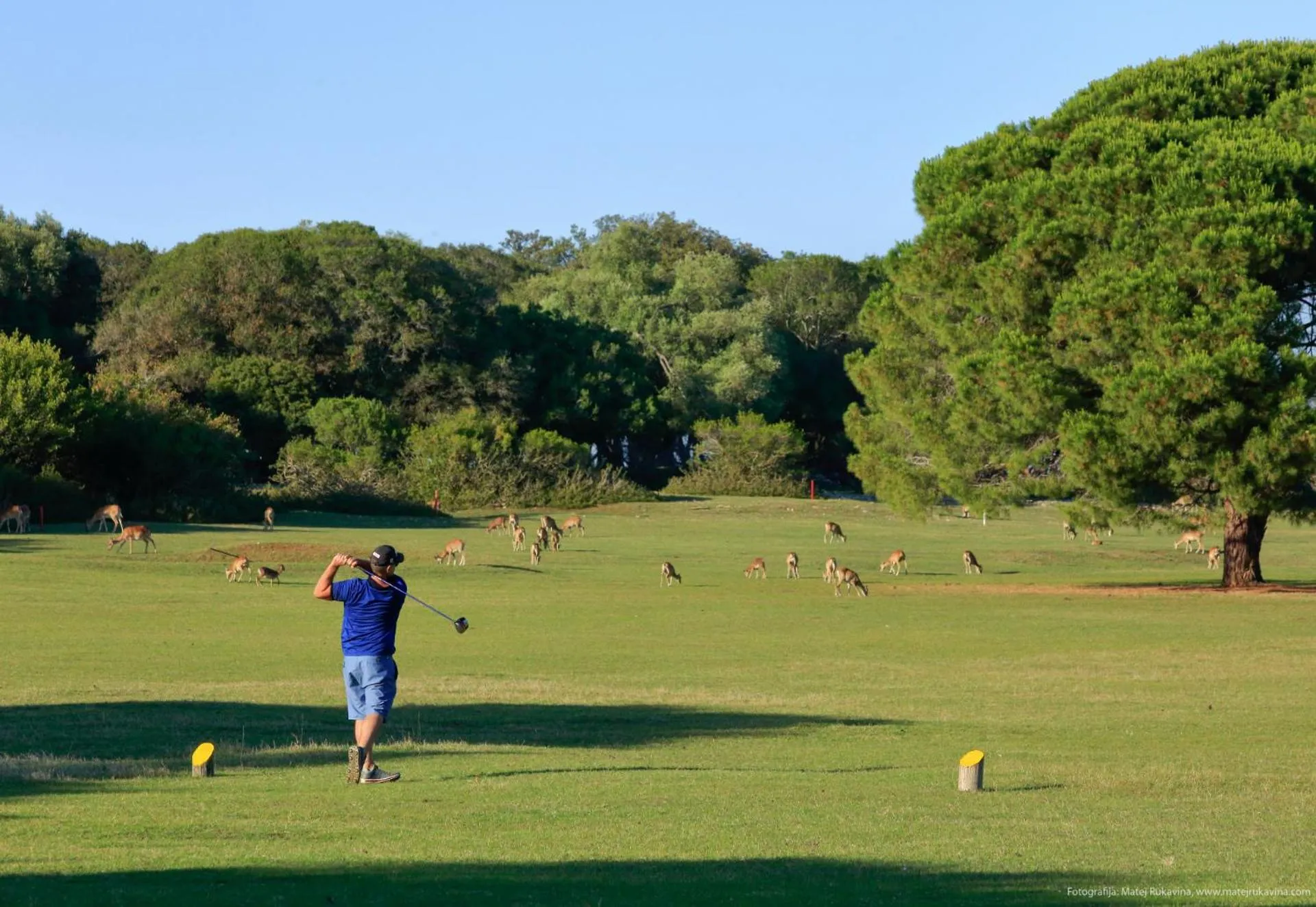 Golfcourse in Apartments Villa Nina