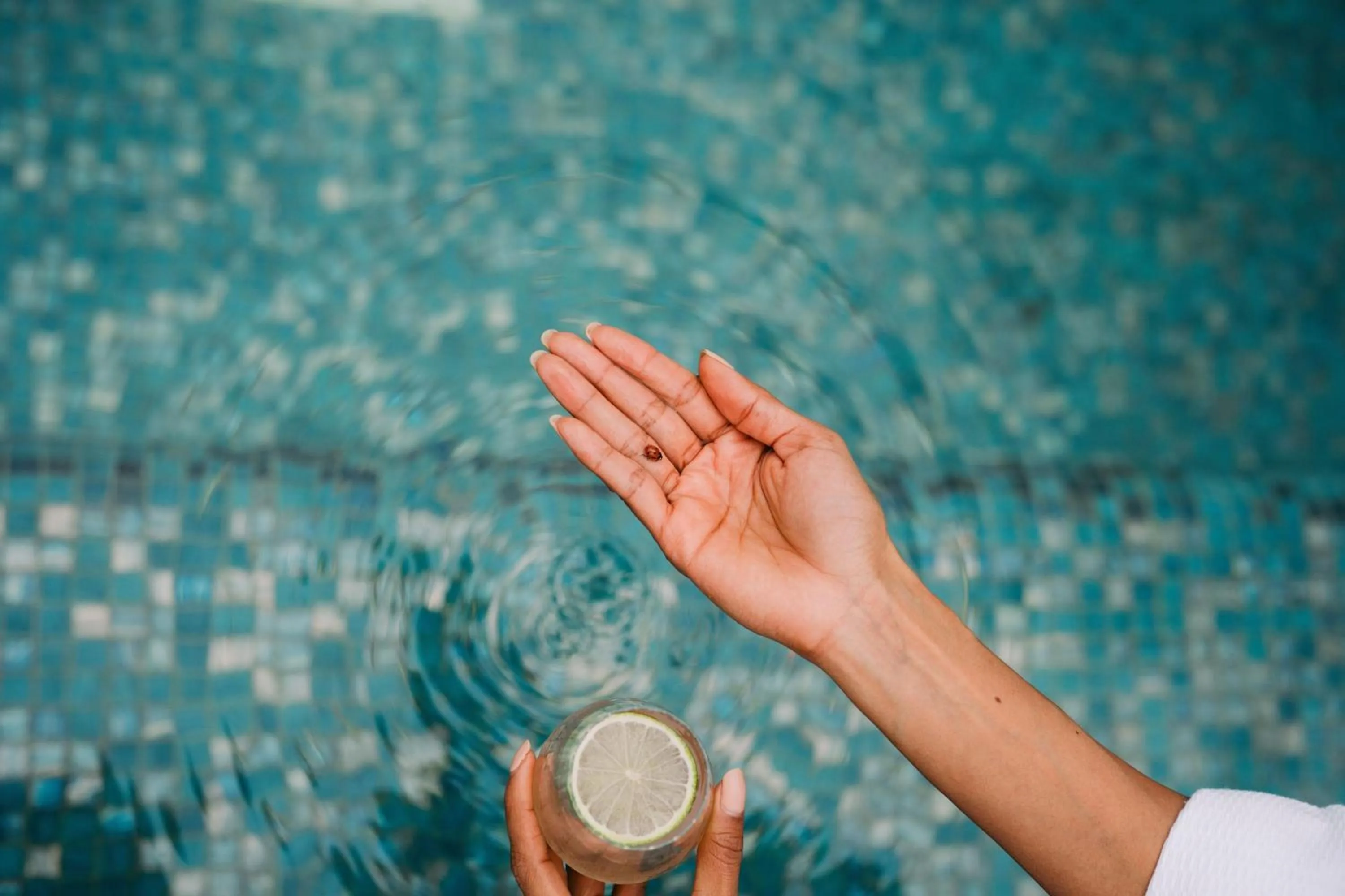 Banquet/Function facilities in W Algarve