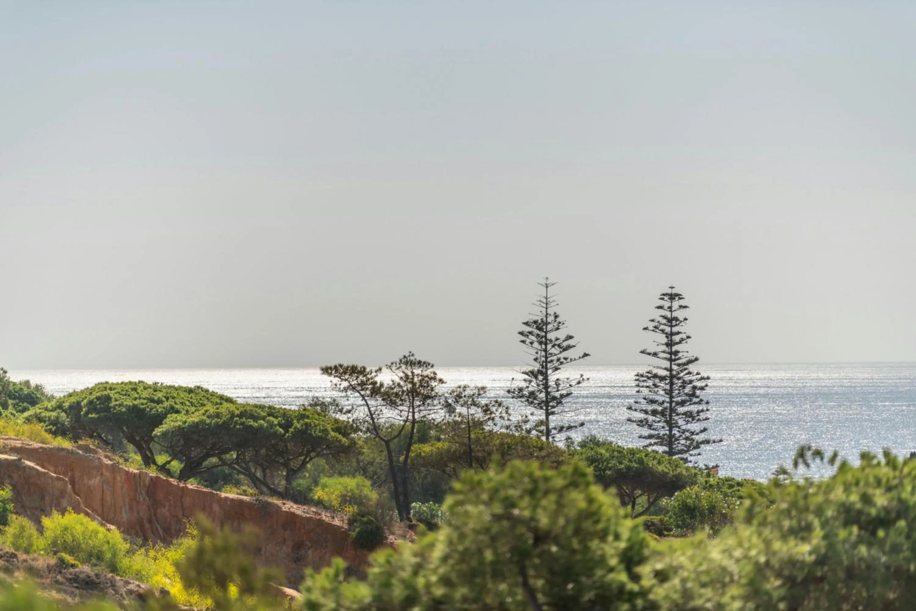 View (from property/room) in W Residences Algarve