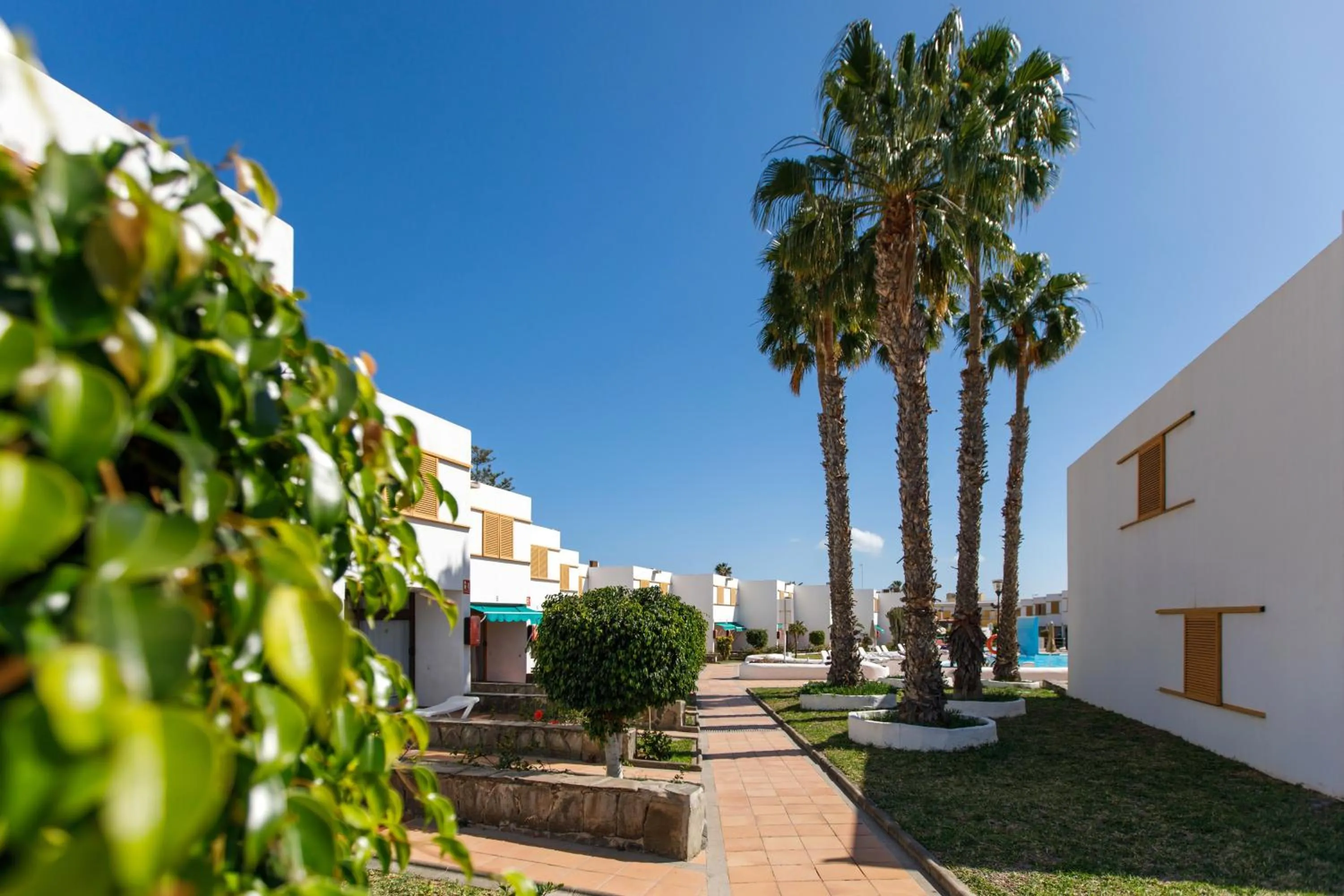 Garden in Las Brisas