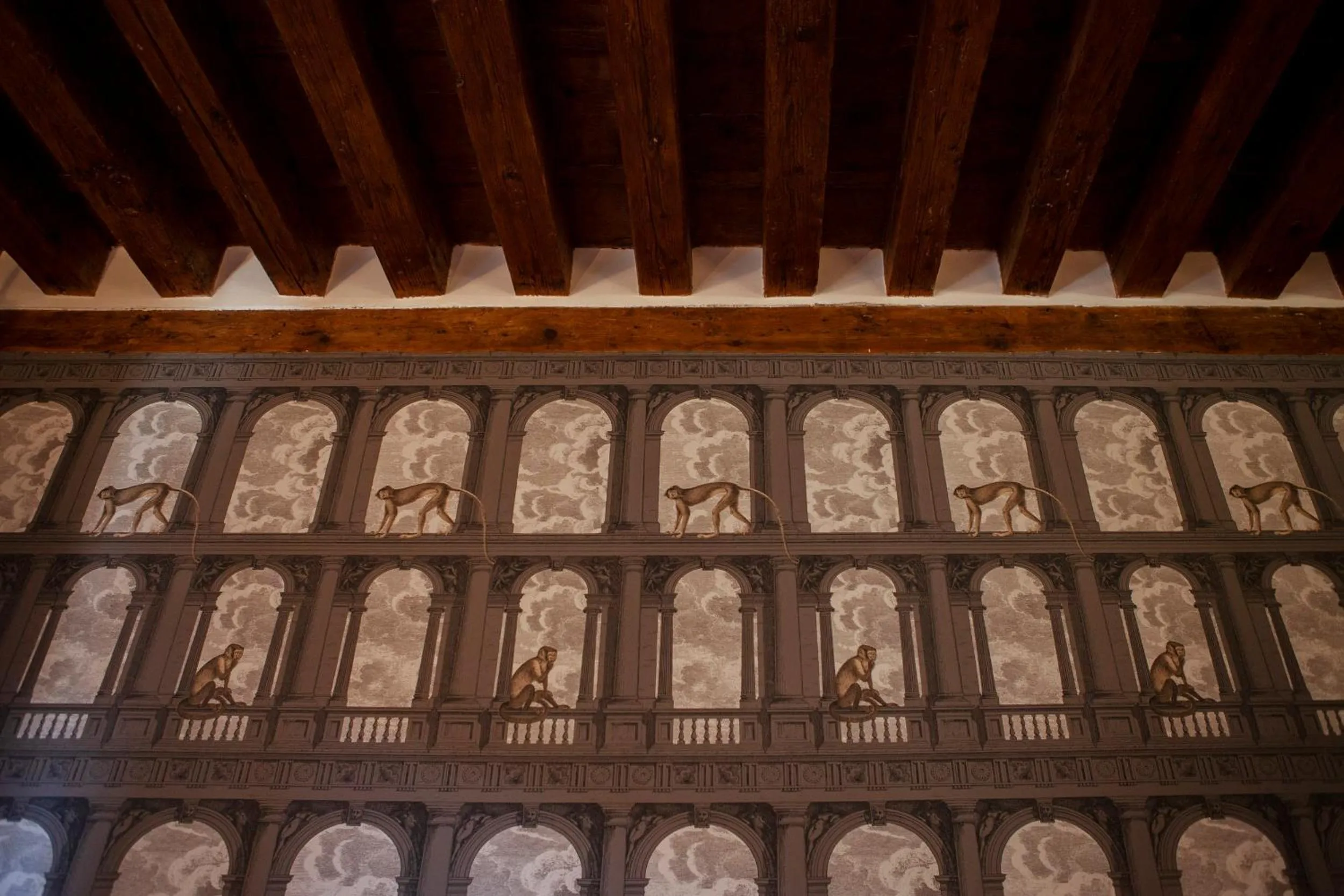 Kitchen or kitchenette in Ca' della Scimmia - Rialto - Venice