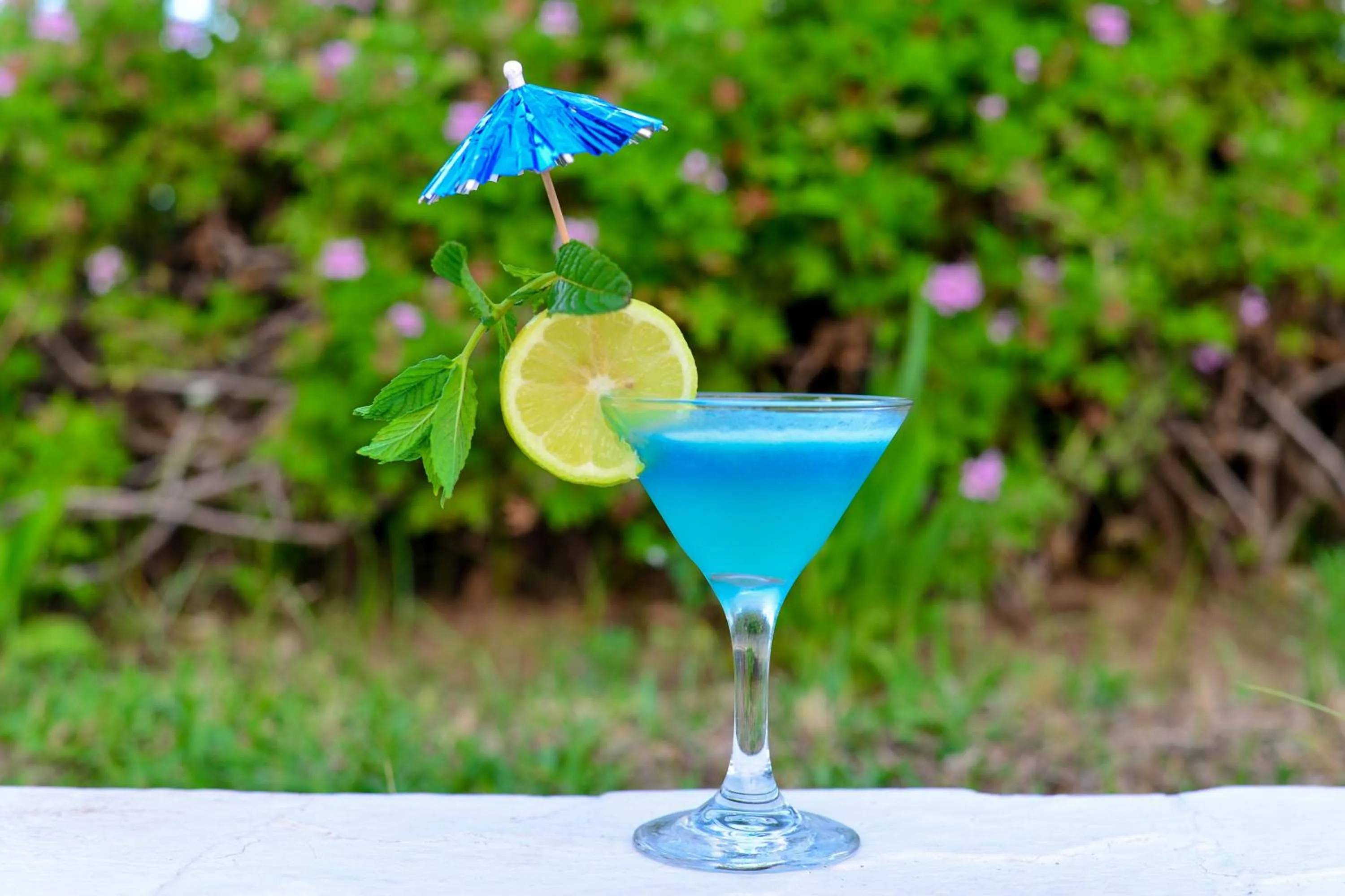 Garden in One Resort Aqua Park