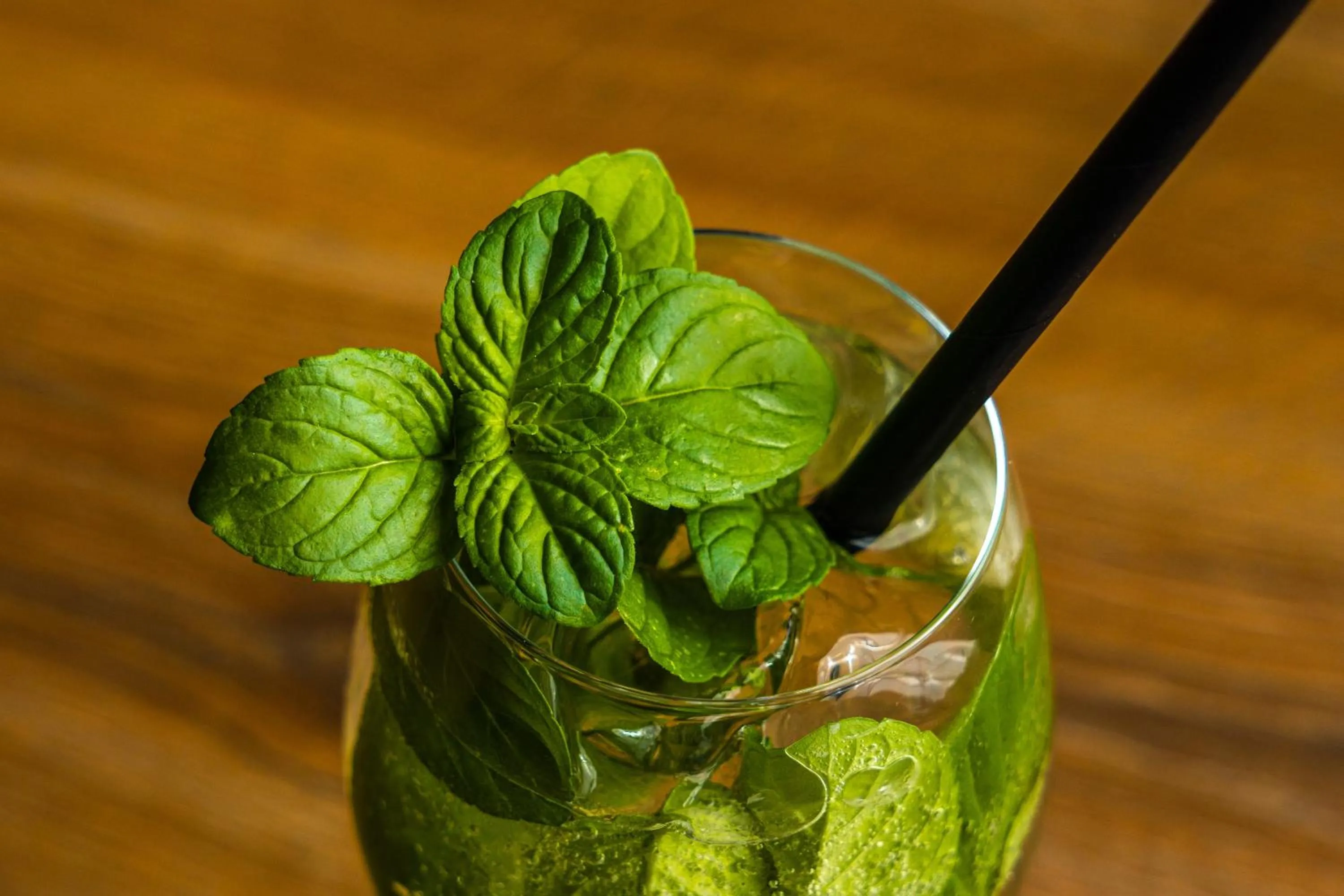 Food and drinks in Moro Inn