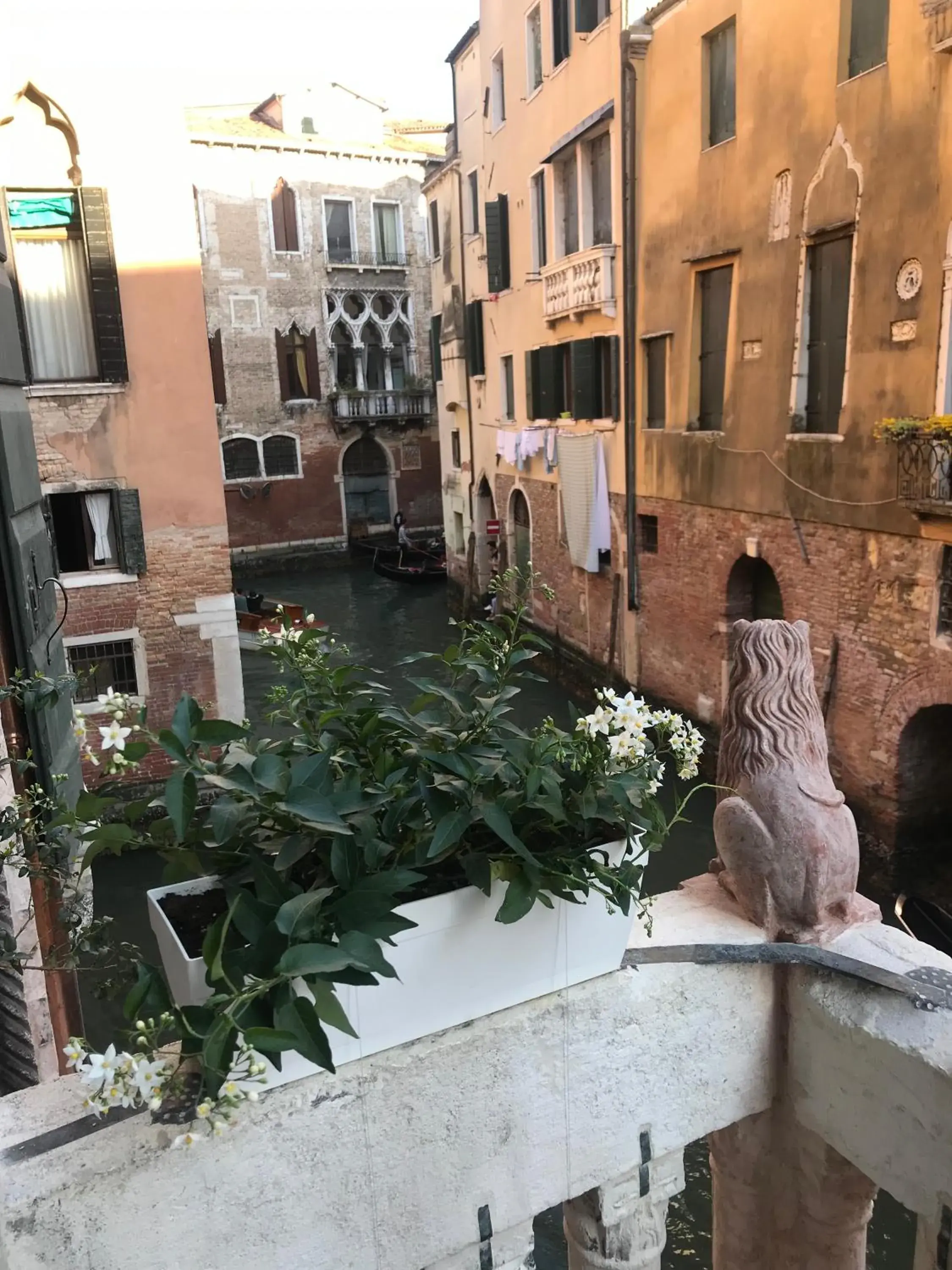 Property building in Ca' Amadi Property building in Ca' Amadi