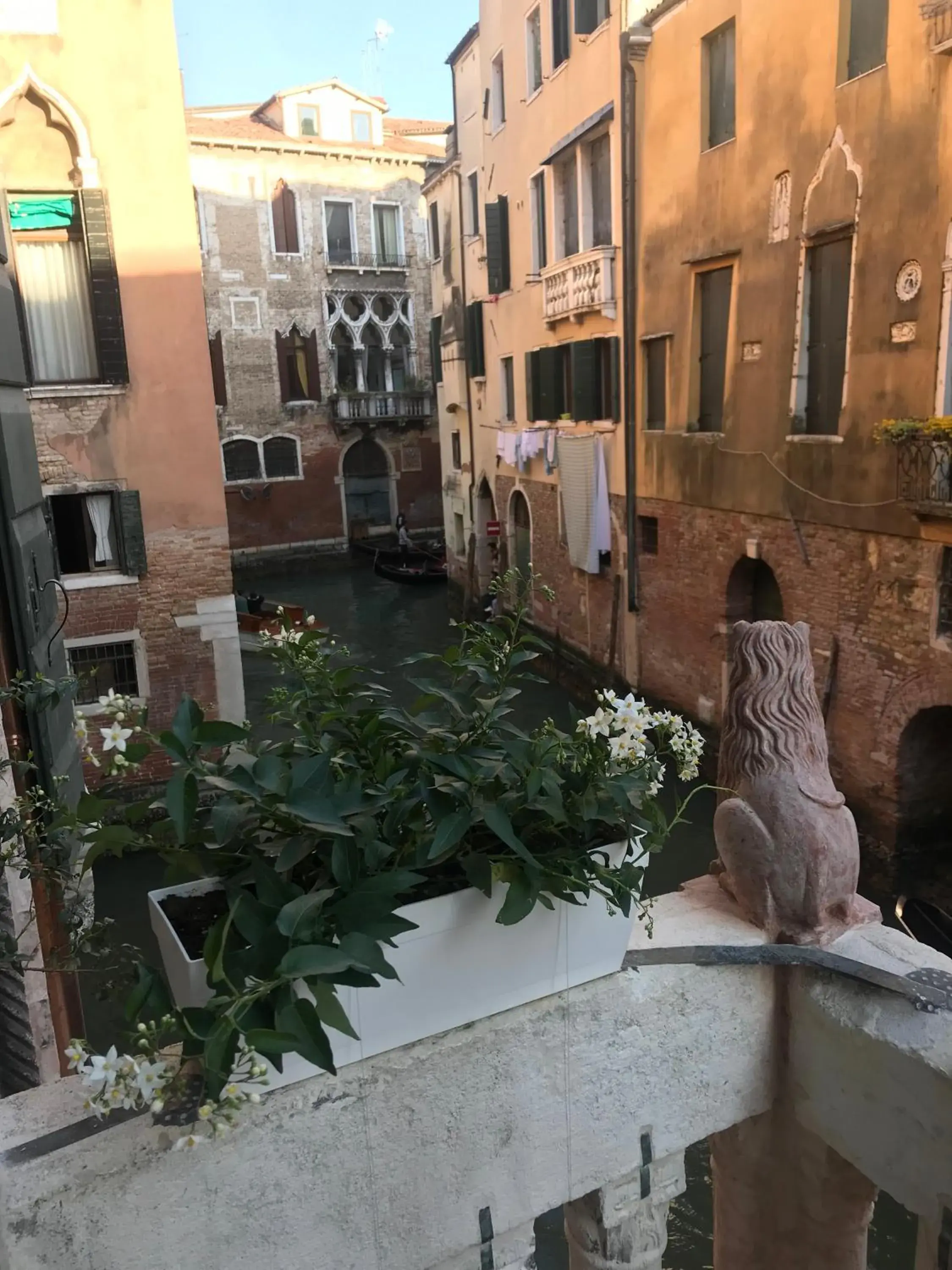 Property building in Ca' Amadi Property building in Ca' Amadi