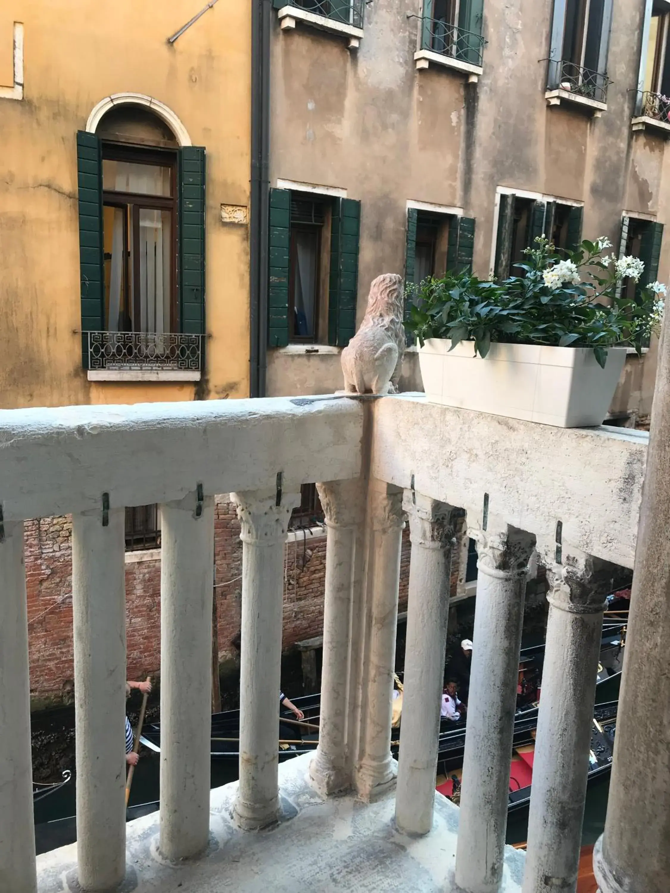 Property building in Ca' Amadi Property building in Ca' Amadi