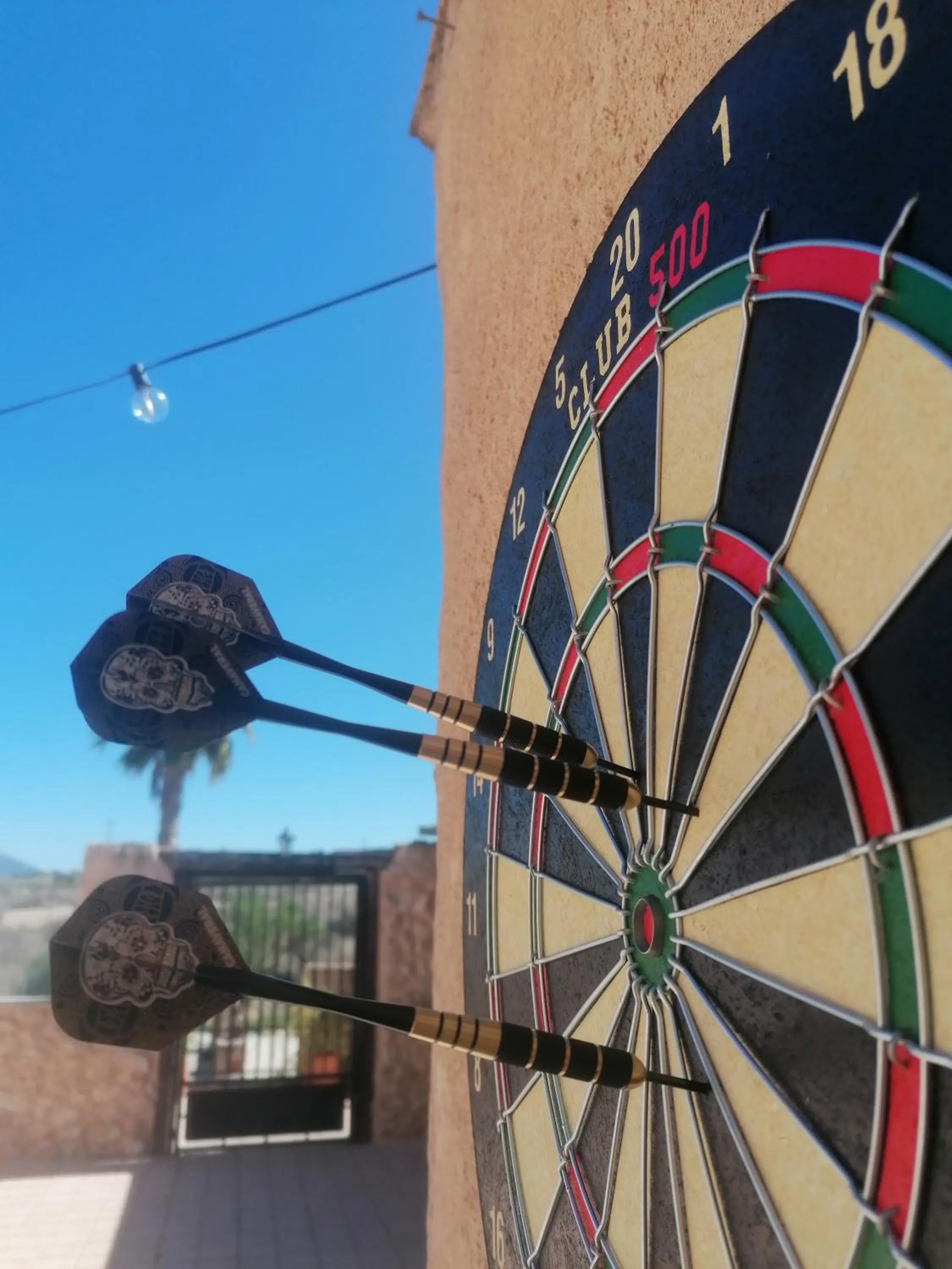 Darts in Finca Guillermo Murcia
