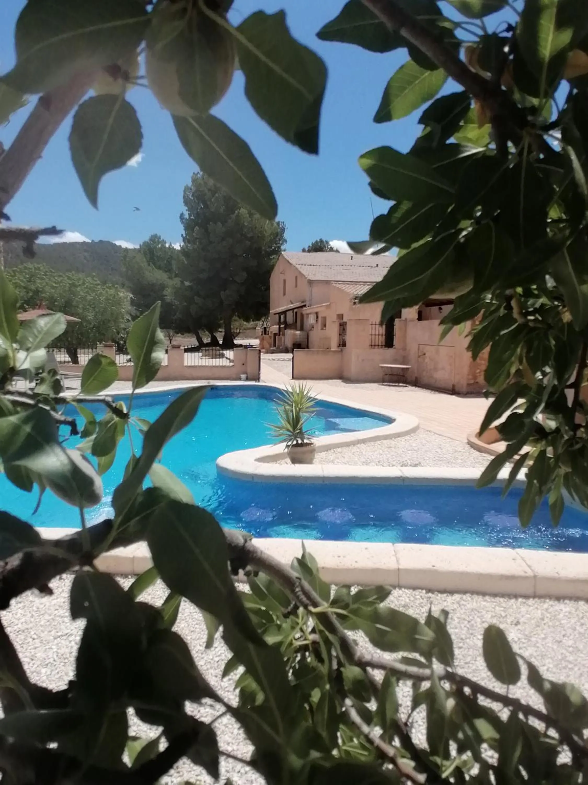 Swimming pool in Finca Guillermo Murcia