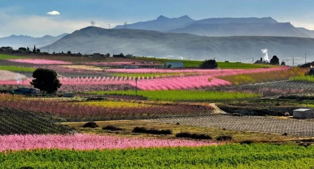 Area and facilities in Finca Guillermo Murcia