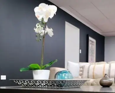 Lobby or reception in SJ SUITES HOTEL Lobby or reception in SJ SUITES HOTEL