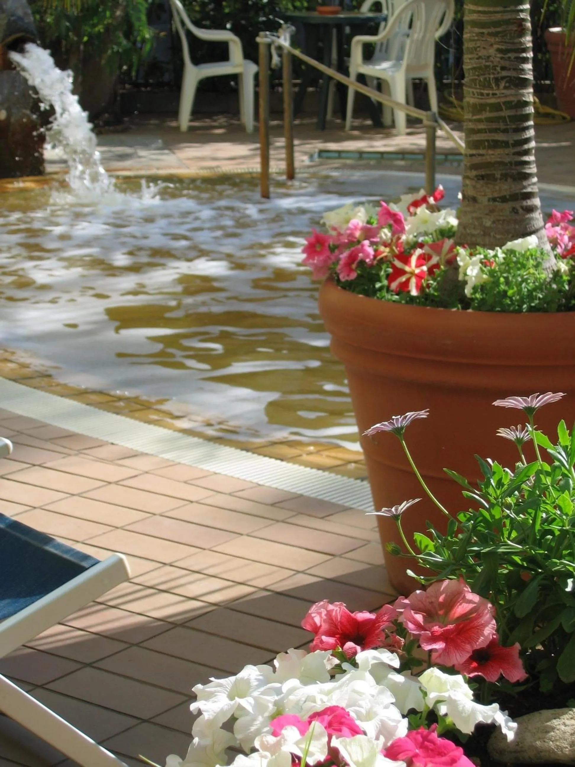 Garden in Hotel Europa