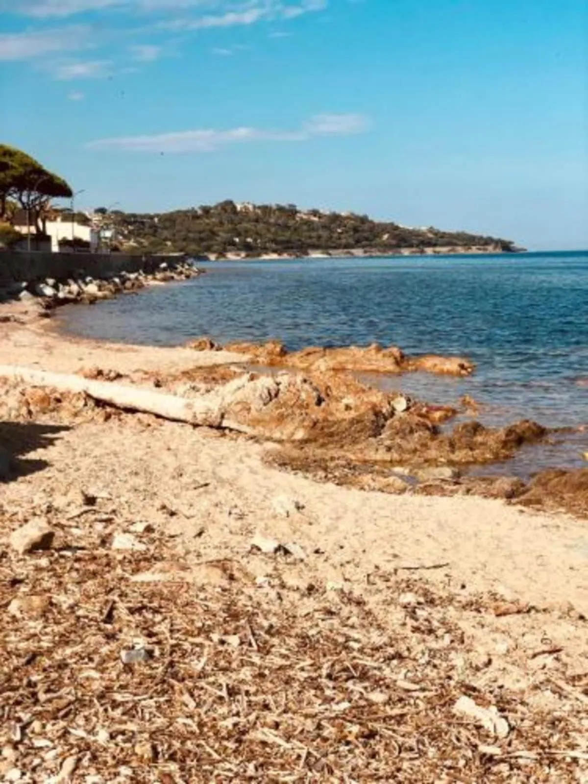 Apt With Pool Magnificent Sea View 80m To Beach