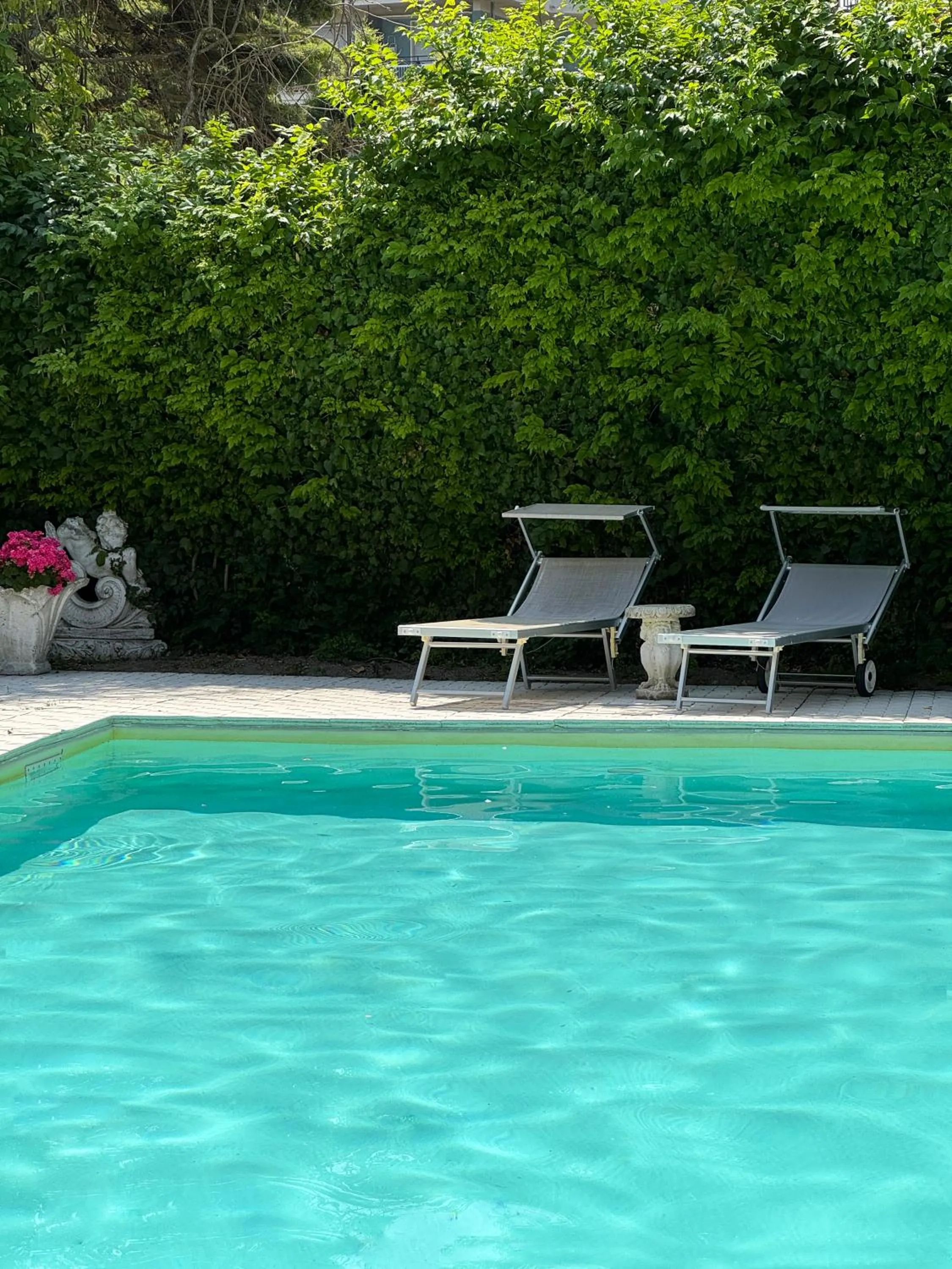 Pool view in Grand Hotel Terme & SPA - Chianciano