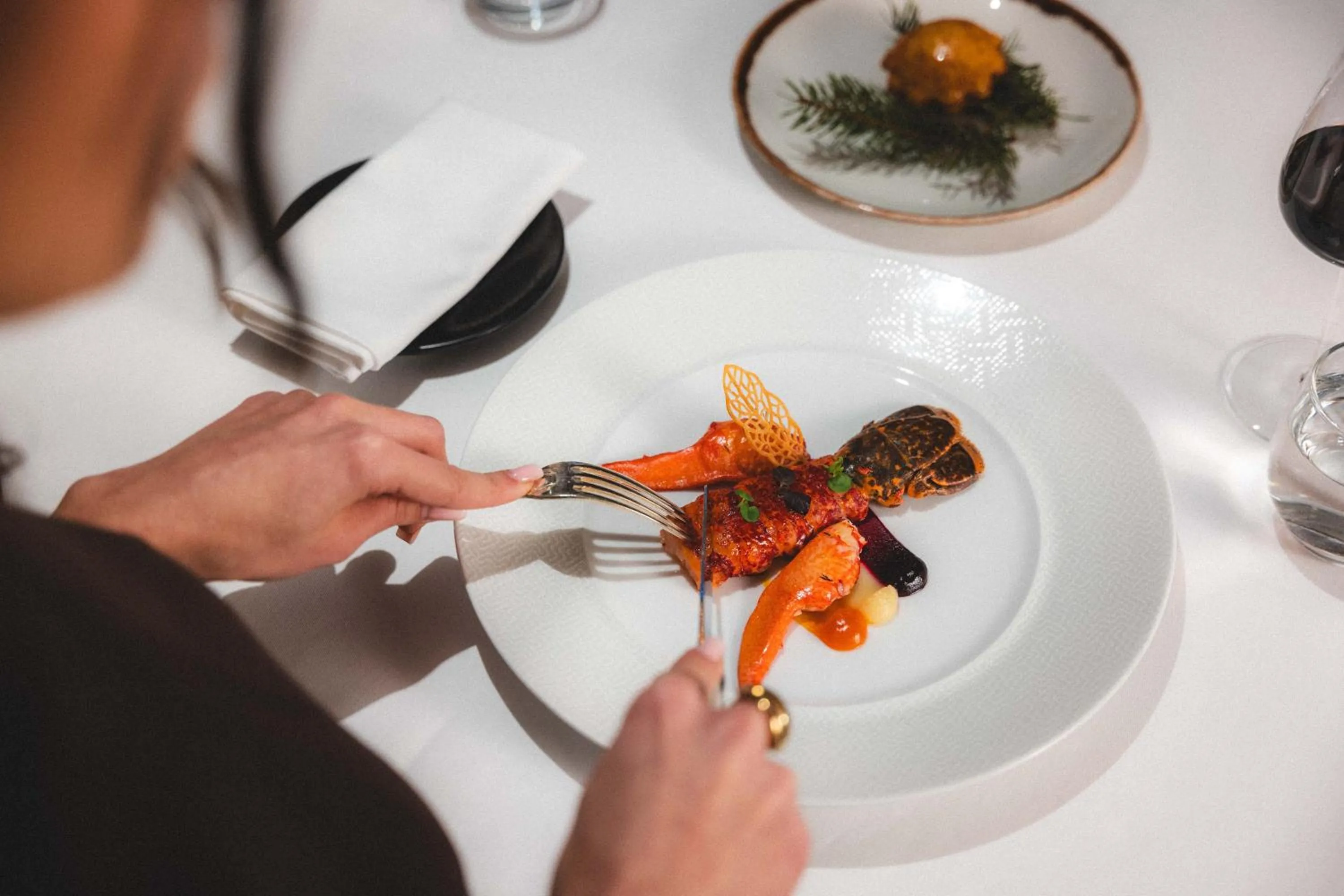 Restaurant/places to eat in Hotel Carlina