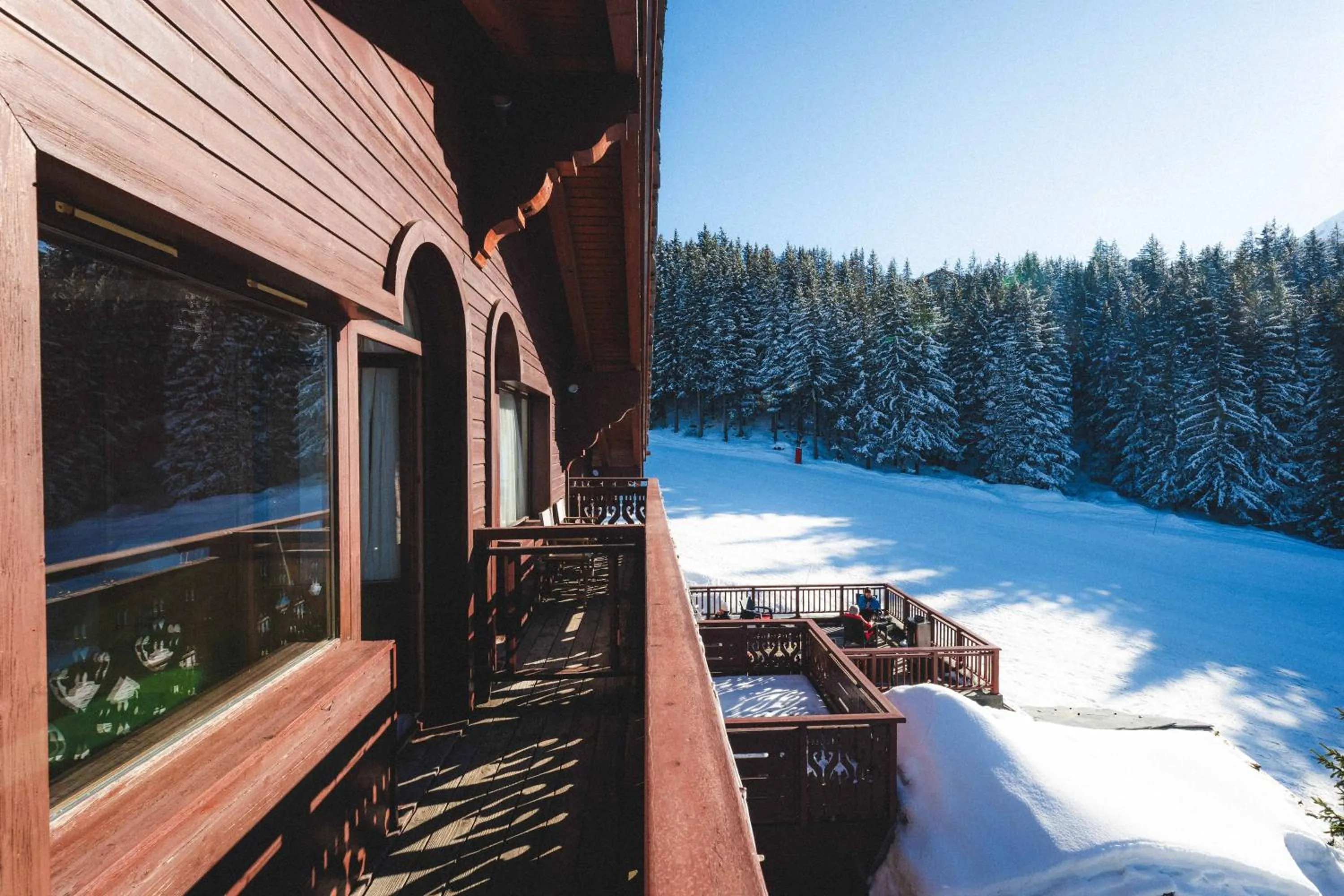 Natural landscape in Hotel Carlina