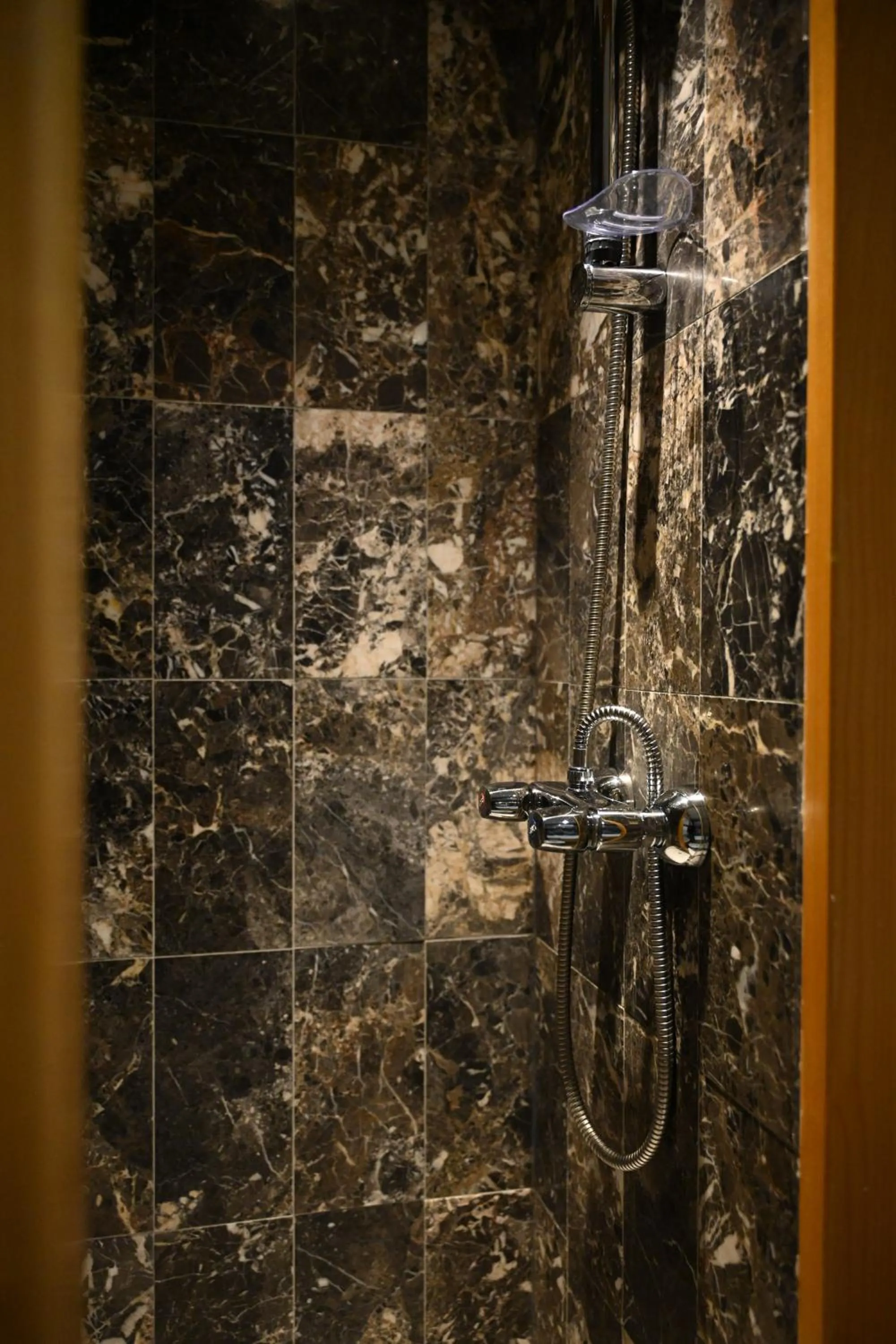 Bathroom in Hotel Carlina