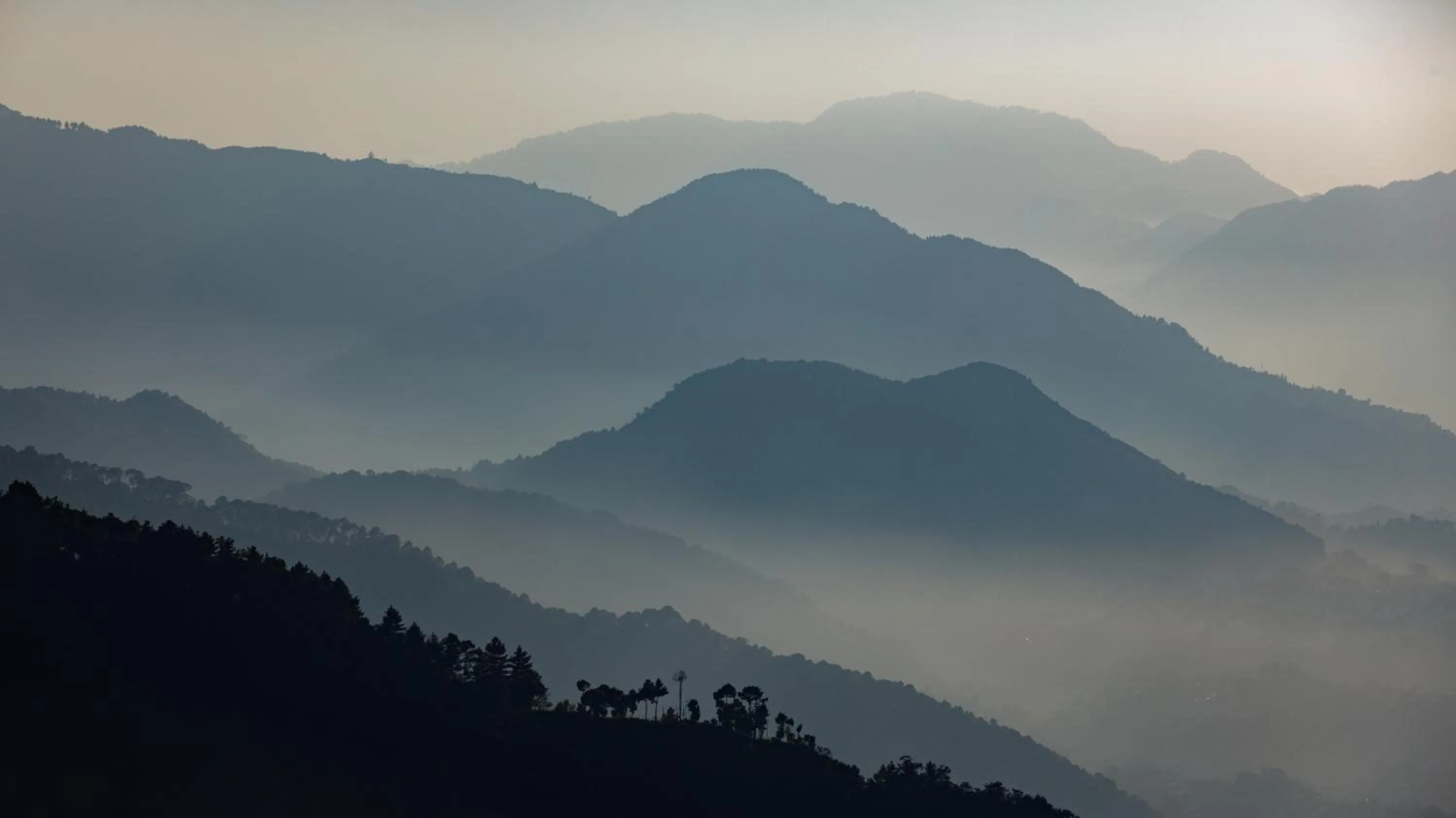 Natural landscape in The Terraces Resort and Spa
