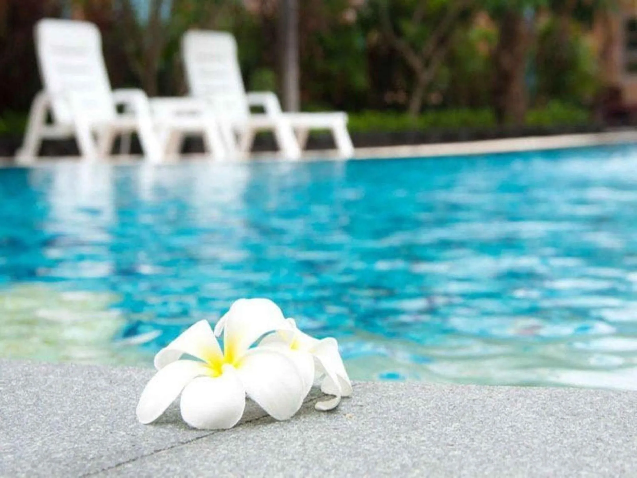 Swimming pool in Ampan Resort & Apartment