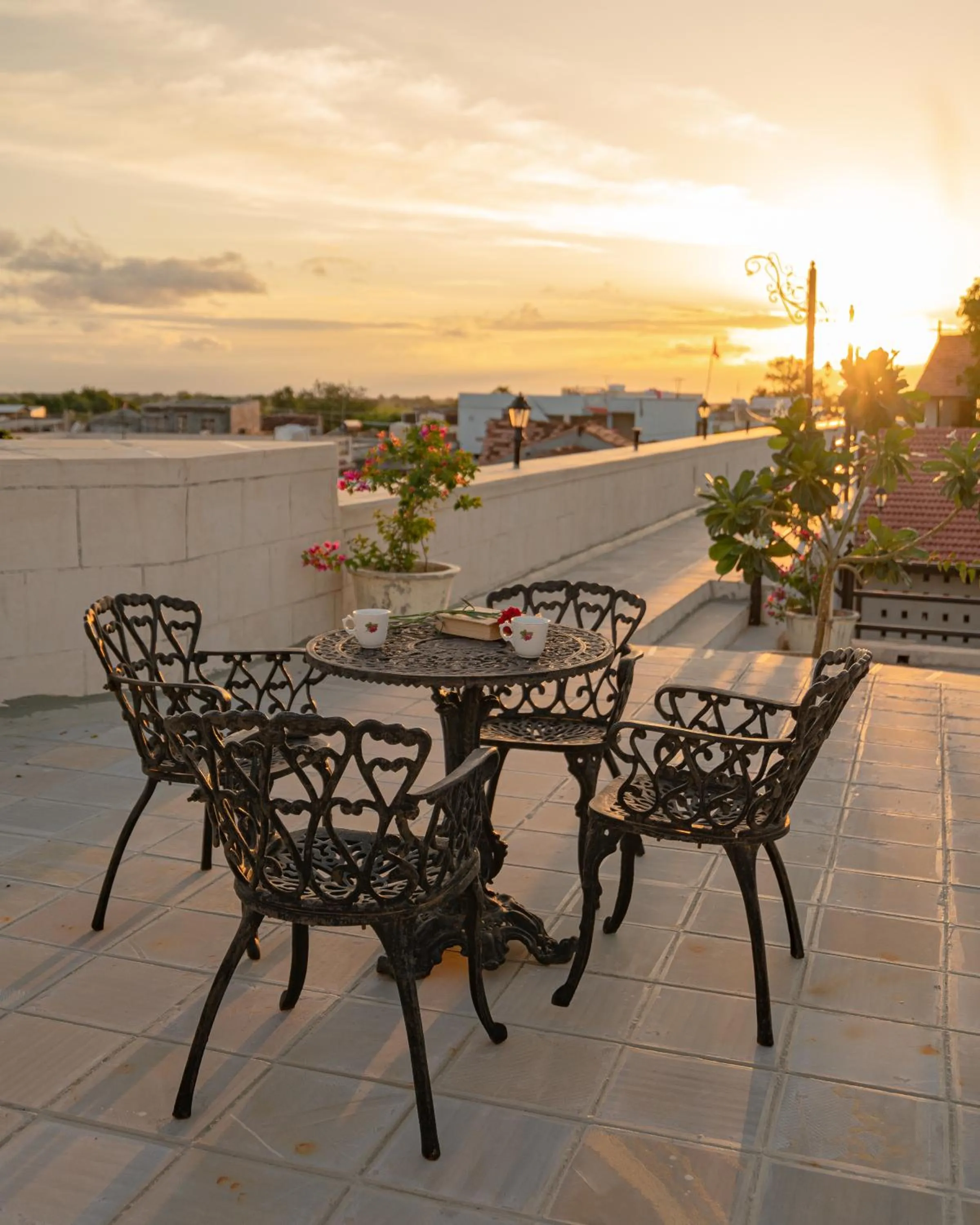 Balcony/Terrace in Tree of Life Darbargadh Dared