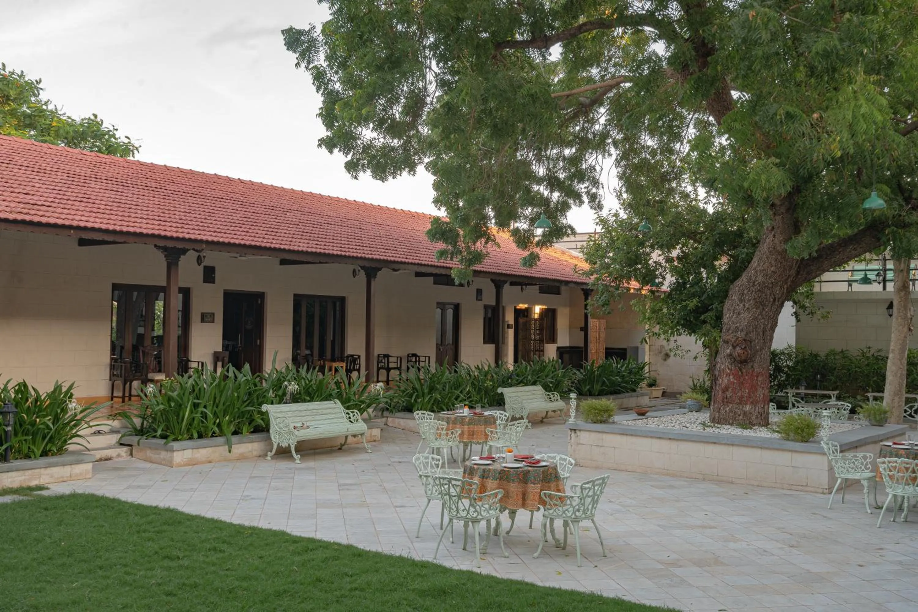 Restaurant/places to eat in Tree of Life Darbargadh Dared