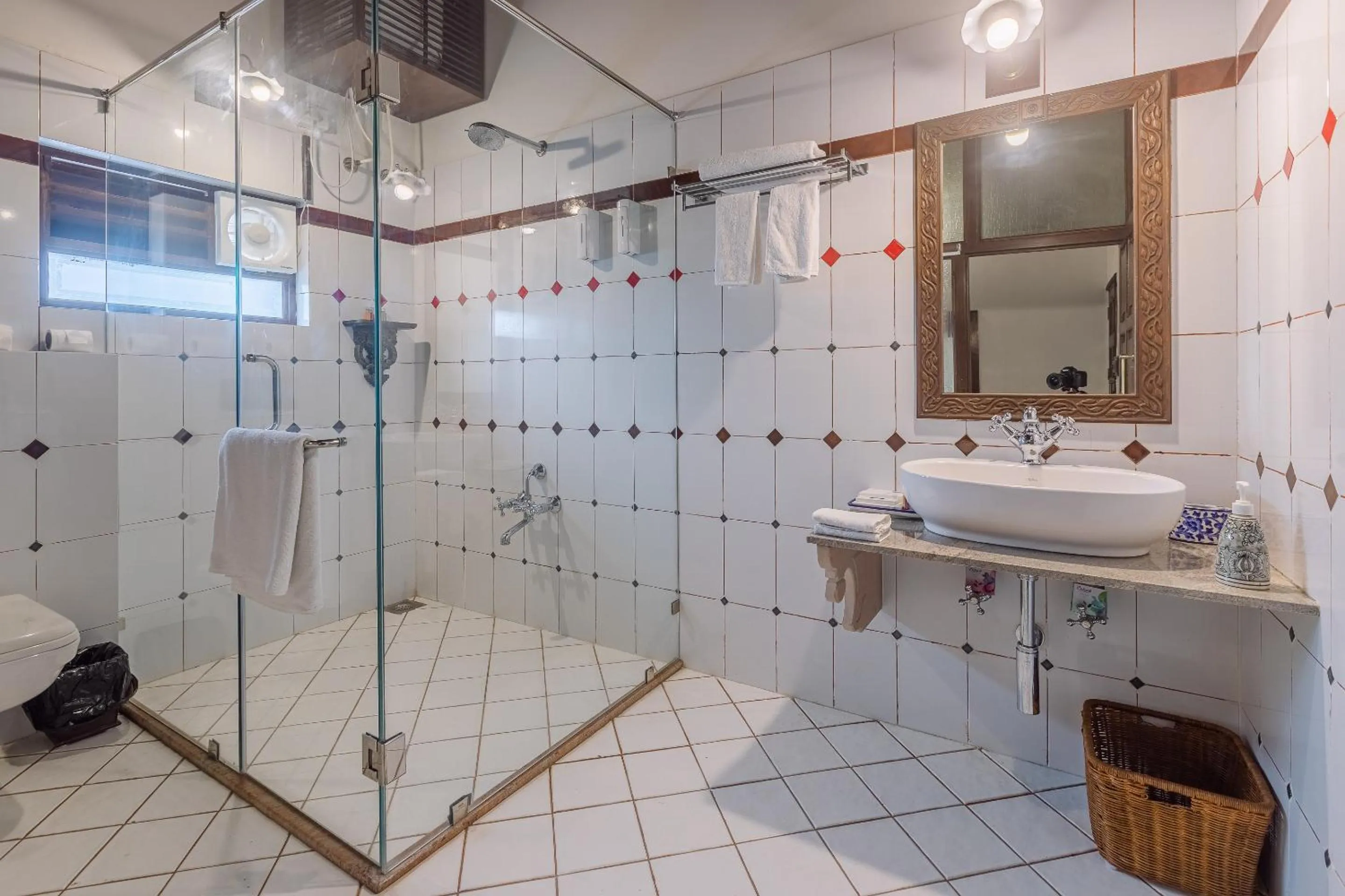 Bathroom in Tree of Life Darbargadh Dared