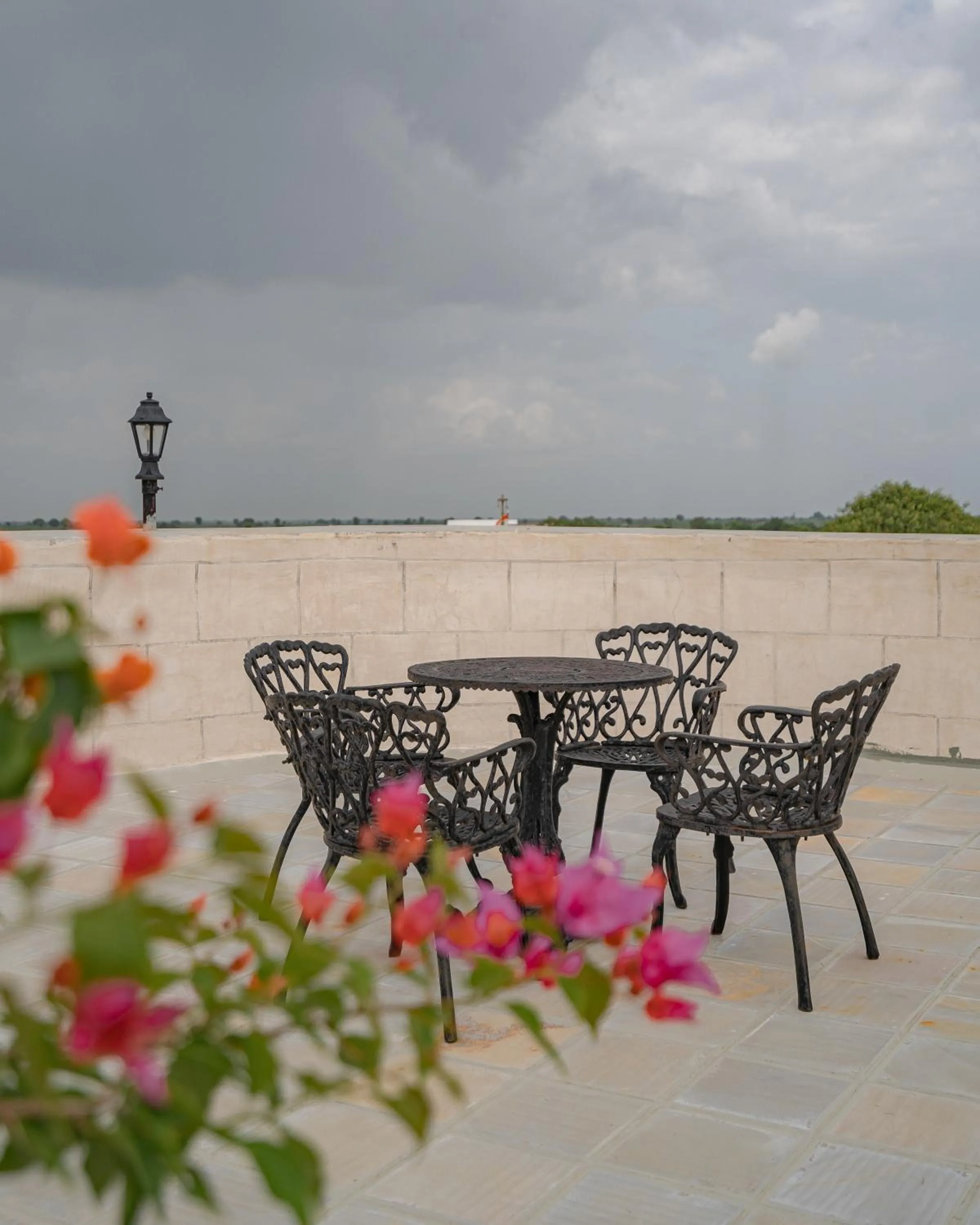 Balcony/Terrace in Tree of Life Darbargadh Dared