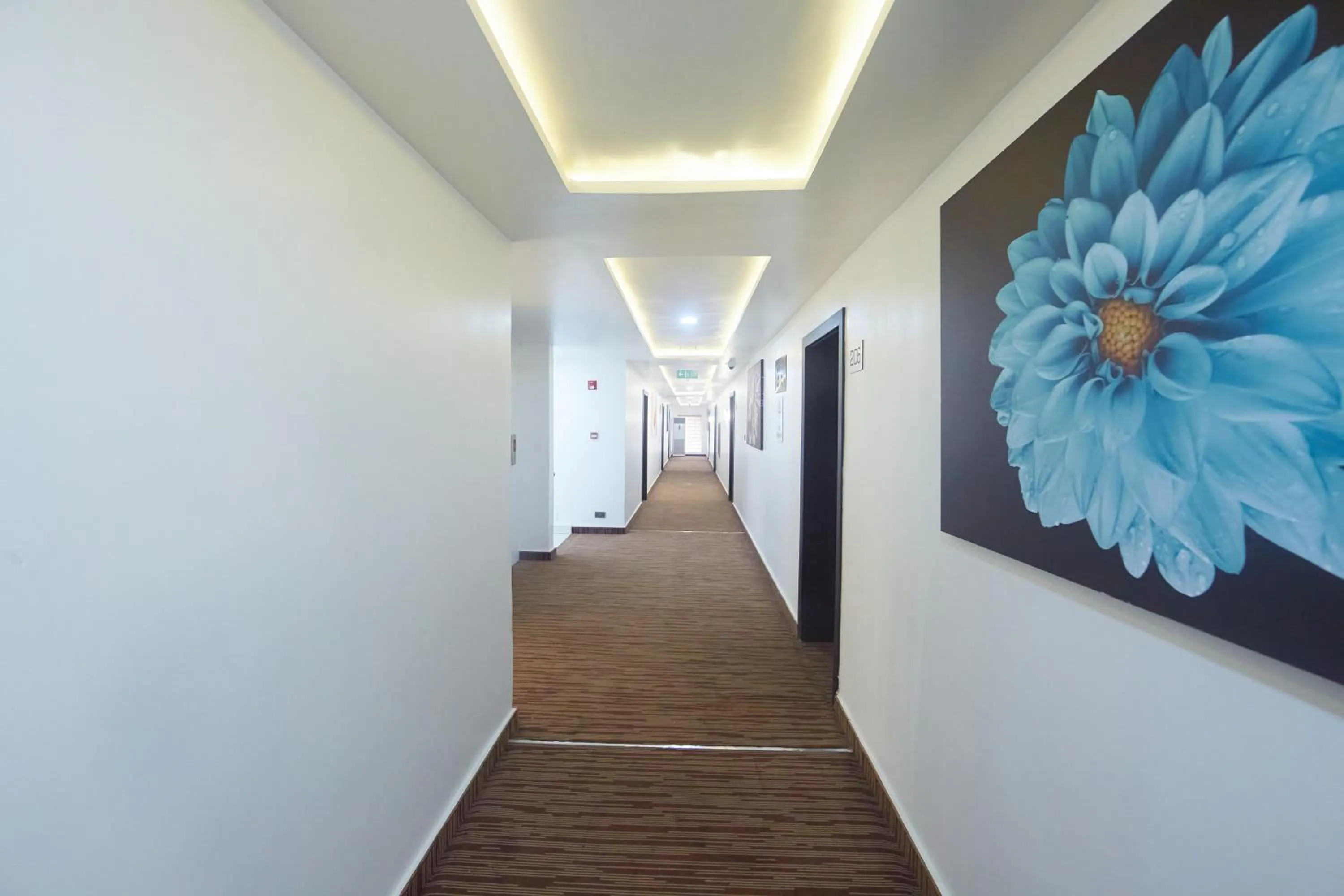 Area and facilities in Musada Luxury Hotels and Suites