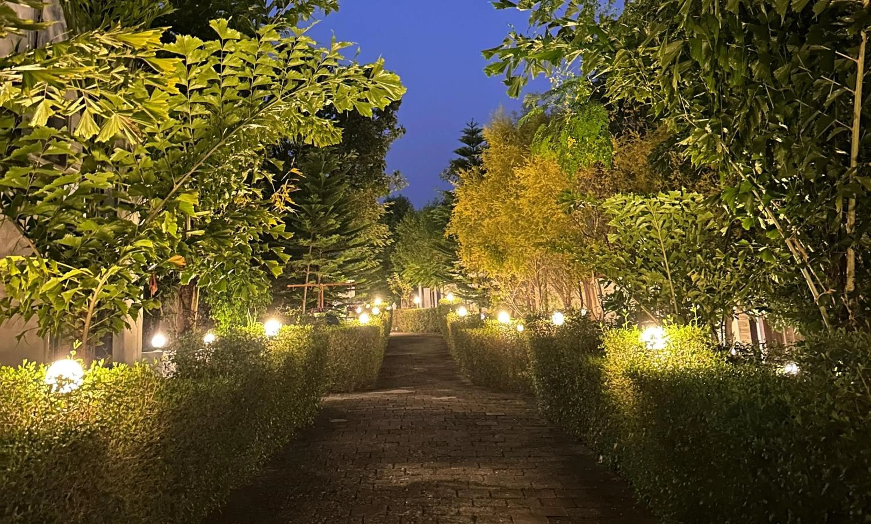 Night in The HighGarden Resort