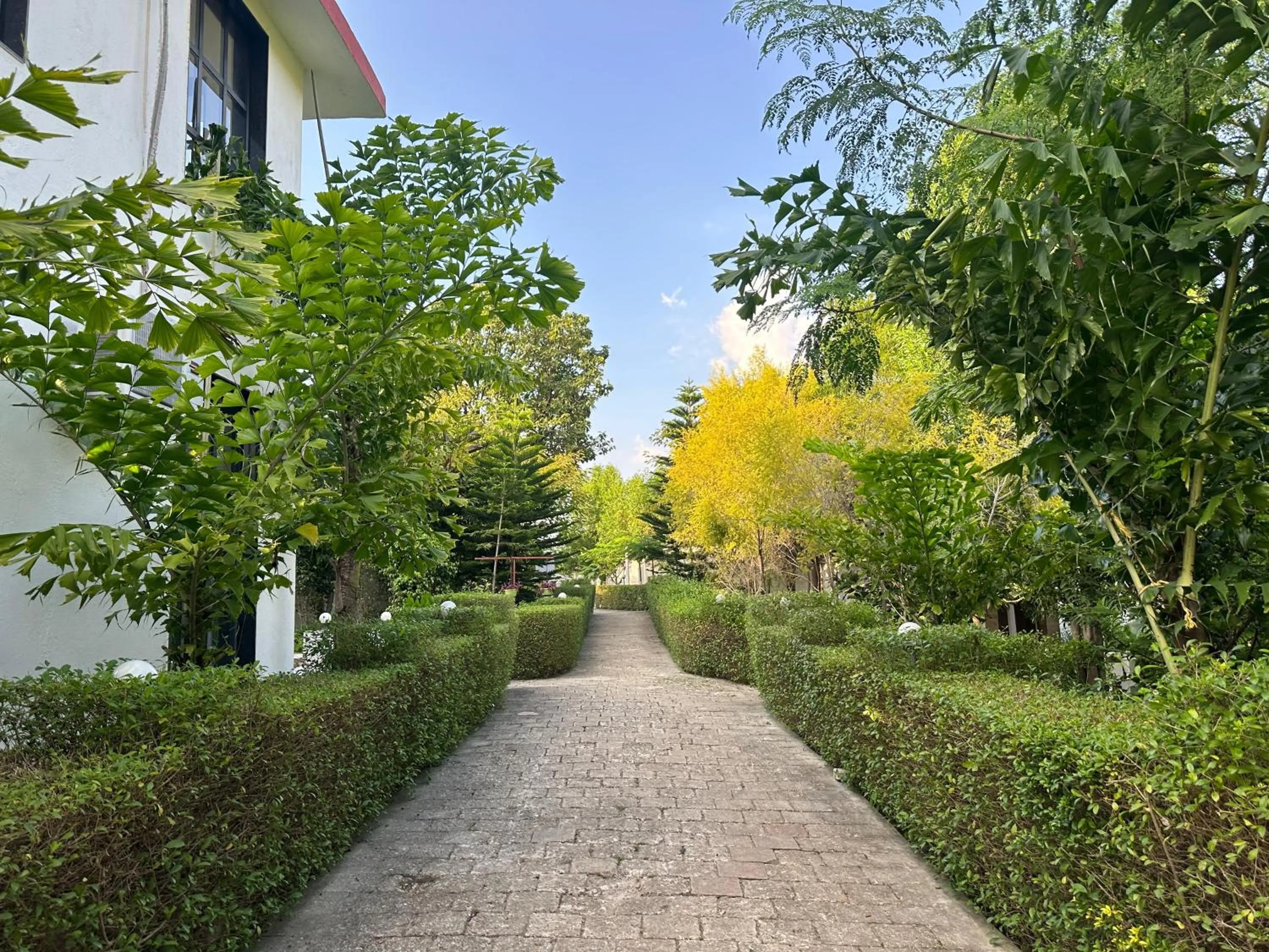 Natural landscape in The HighGarden Resort