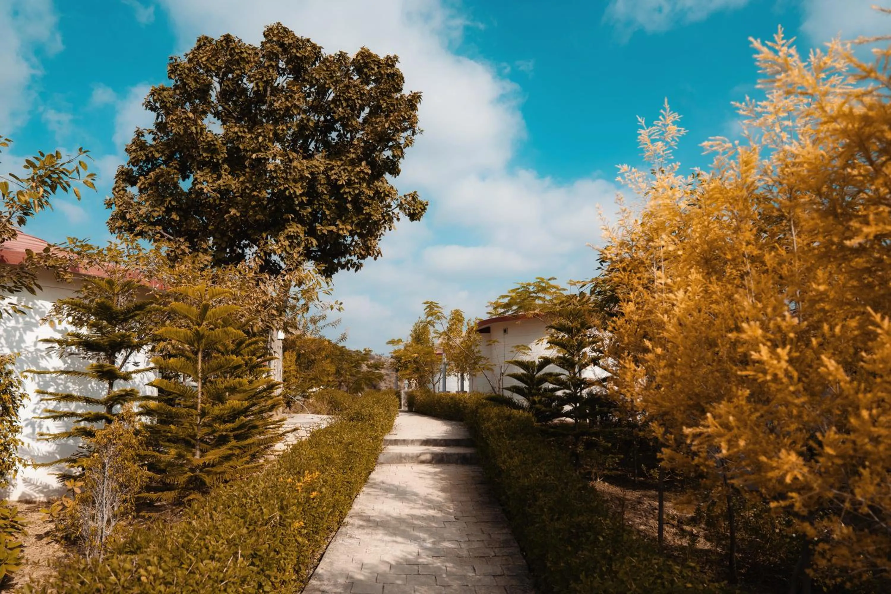 Natural landscape in The HighGarden Resort