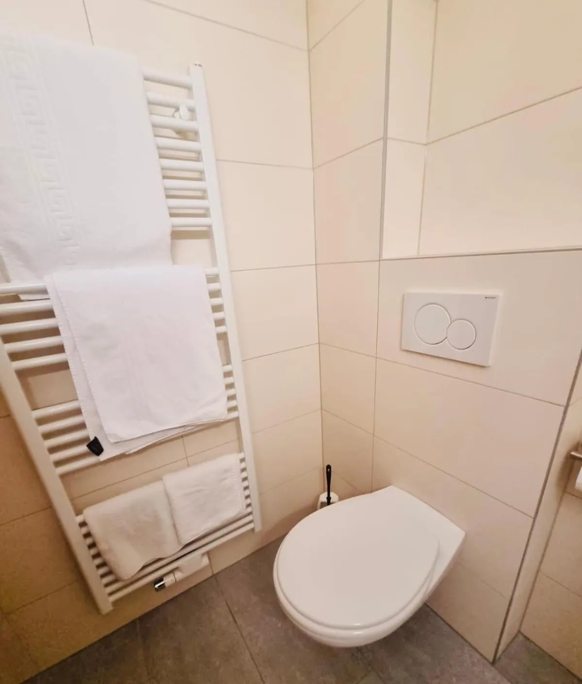 Toilet in Glacier Rock guesthouse ex Pension Dangl