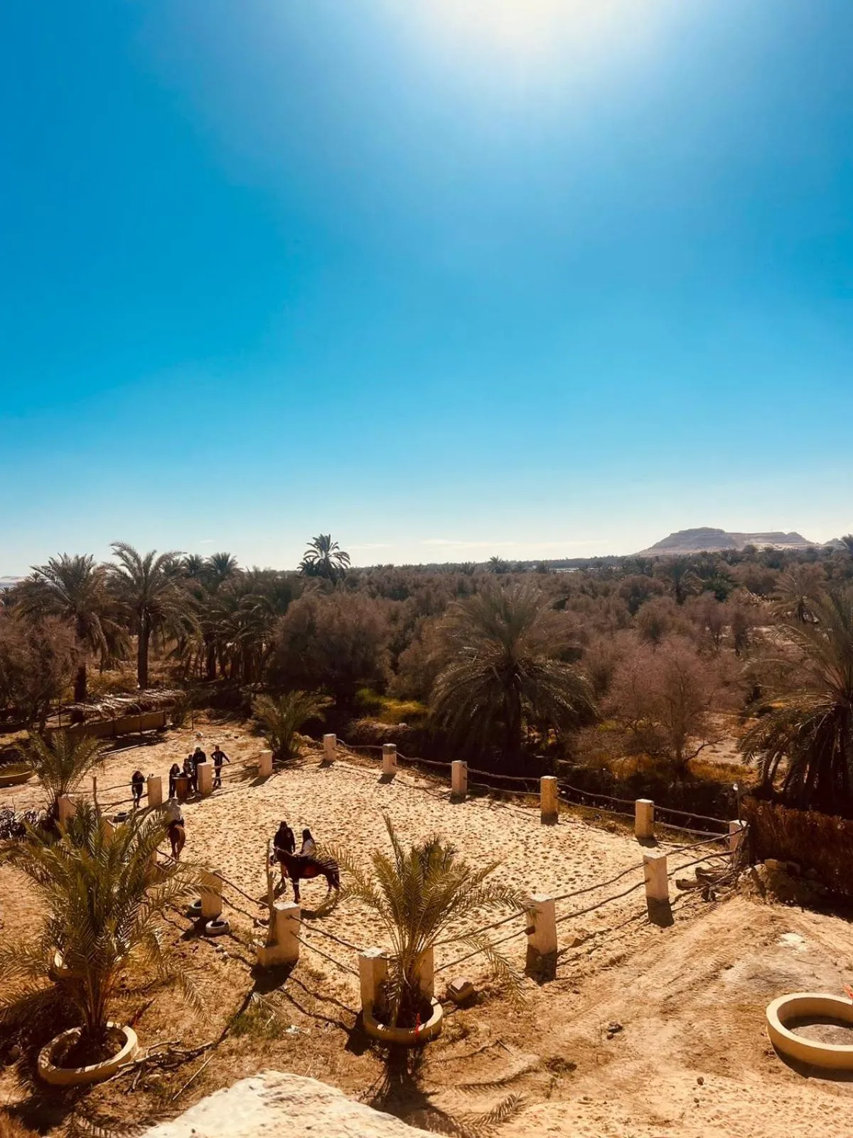 Aghurmi Siwa Ecolodge & Salt Cave