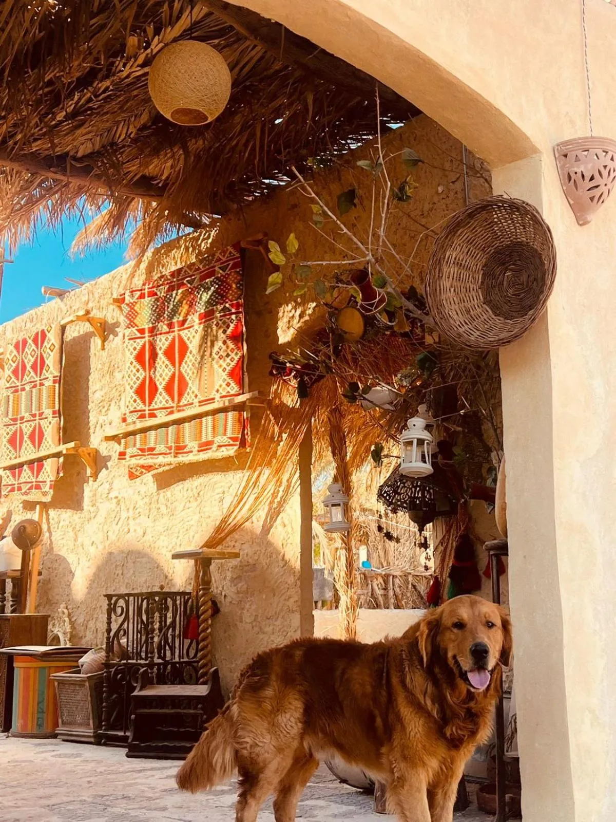 Aghurmi Siwa Ecolodge & Salt Cave