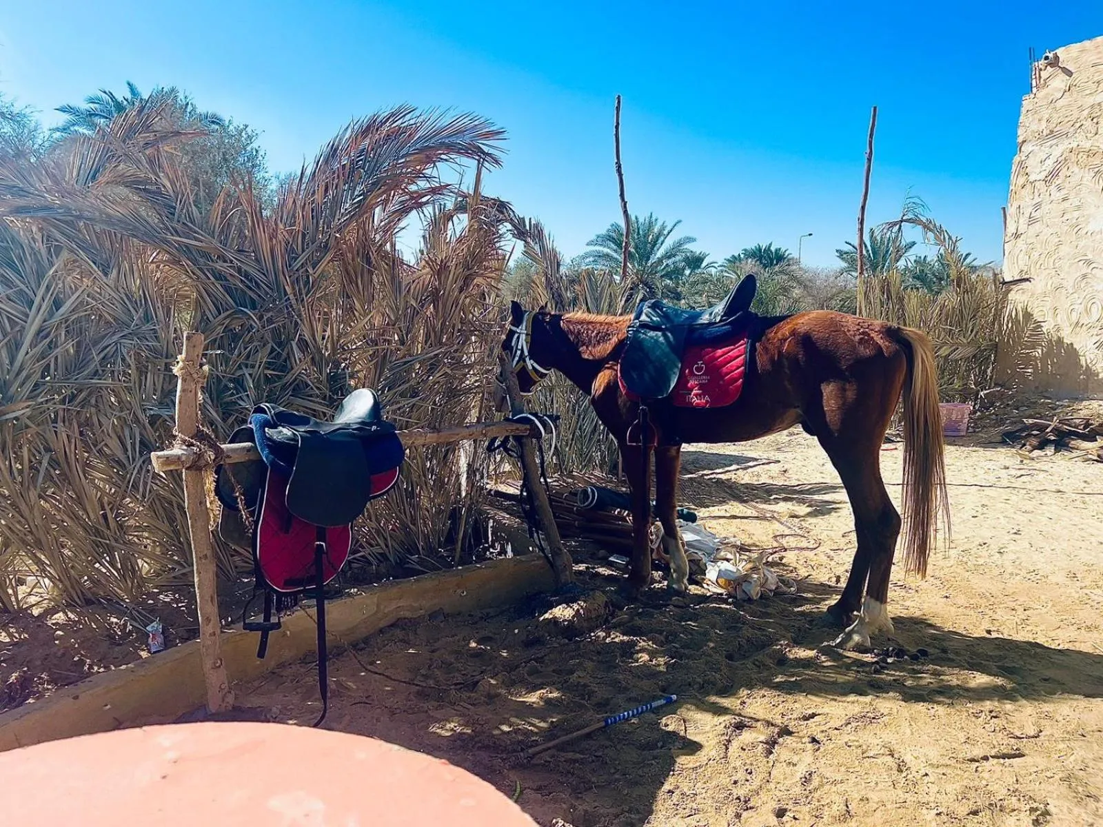 Aghurmi Siwa Ecolodge & Salt Cave