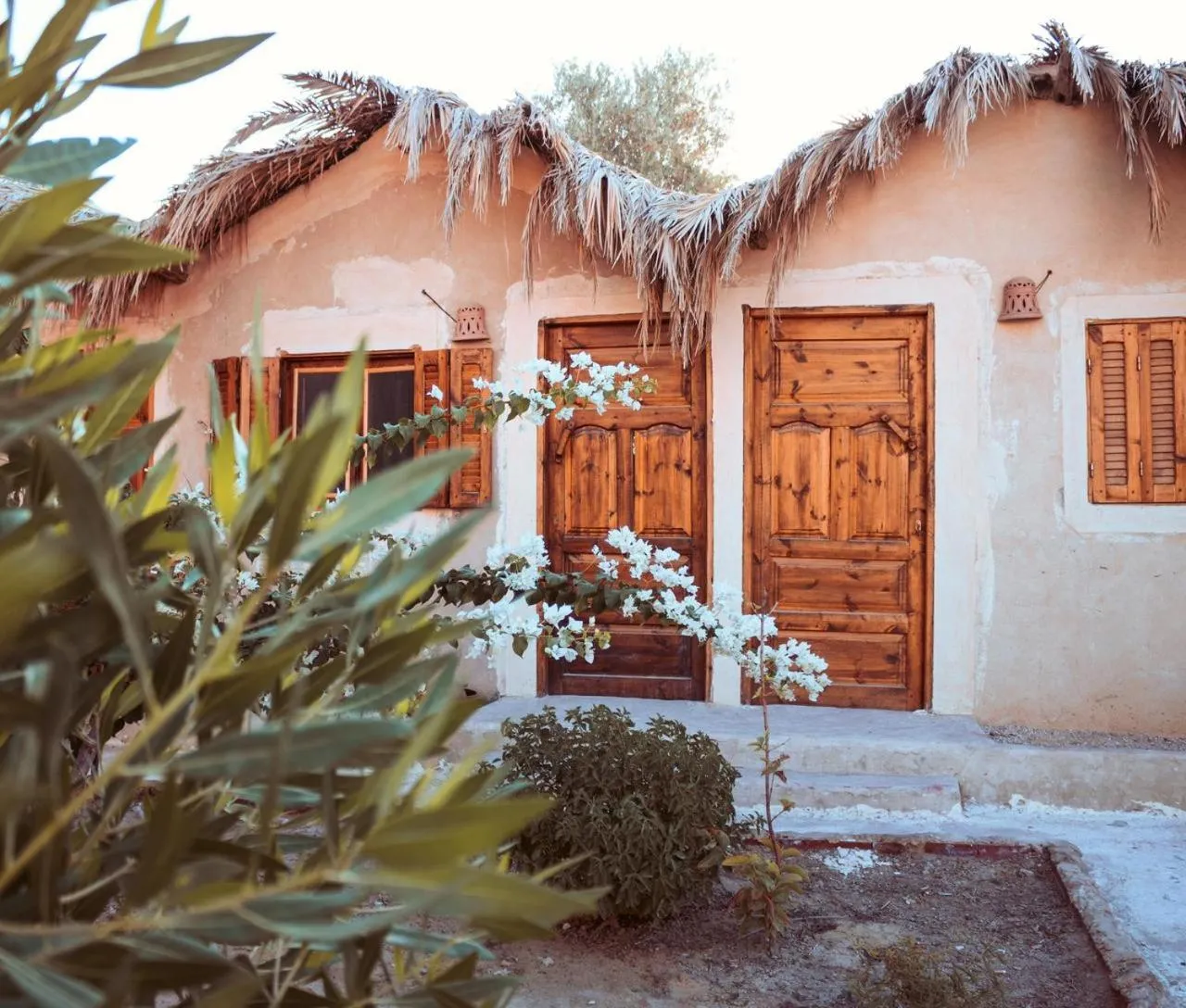Property building in Aghurmi Siwa Ecolodge & Salt Cave
