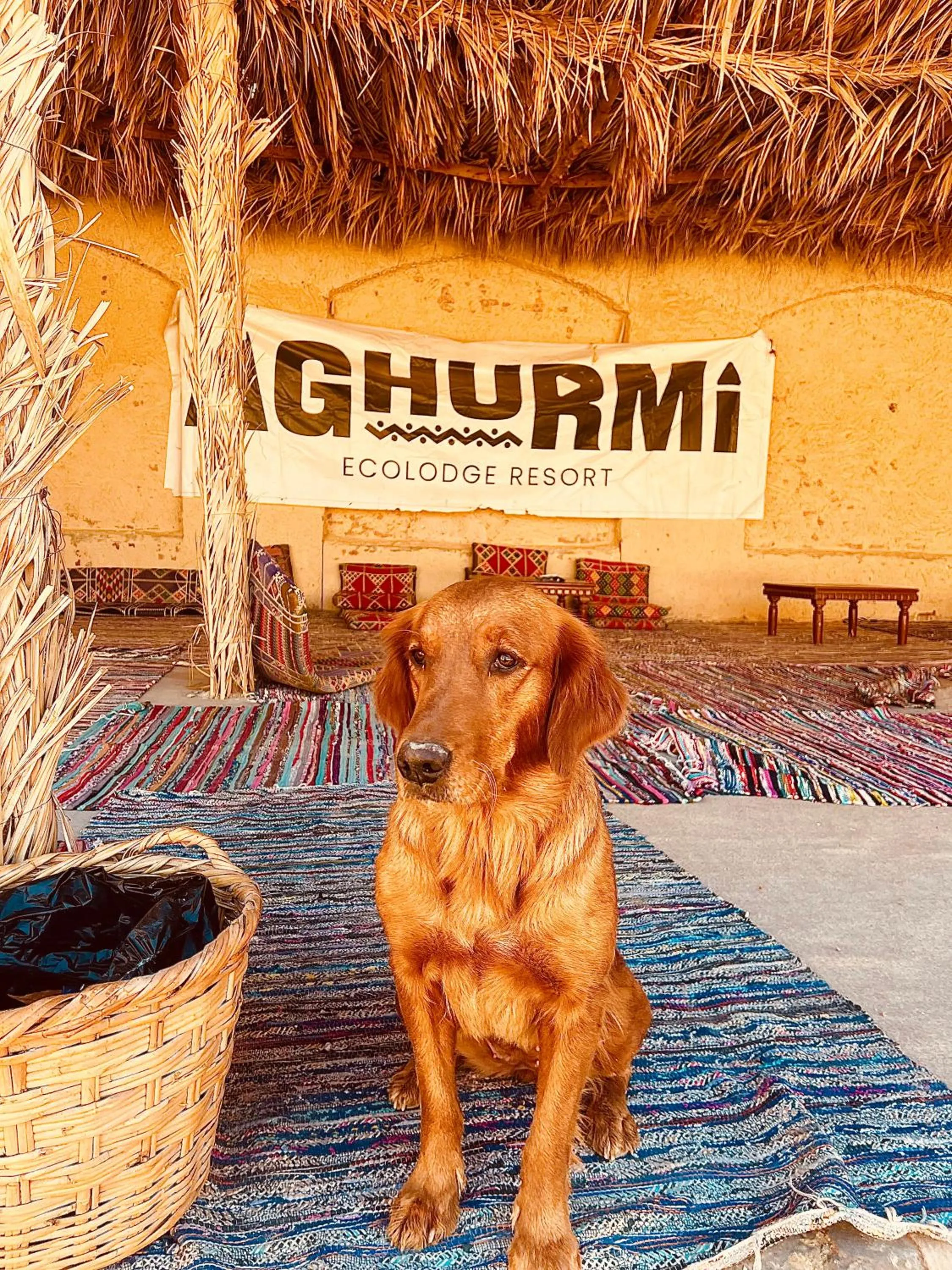 Aghurmi Siwa Ecolodge & Salt Cave