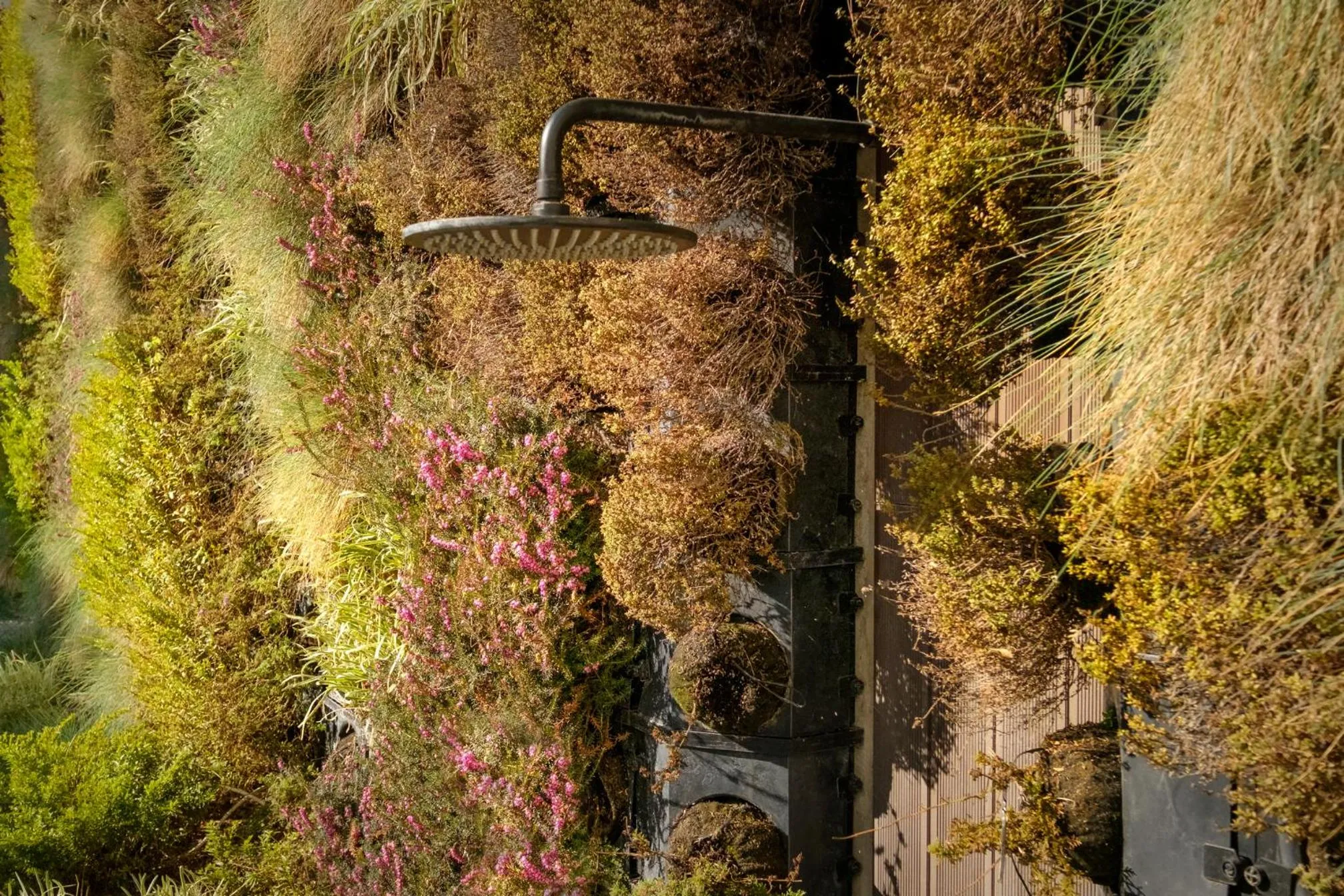 Garden in MouraSuites Hotel