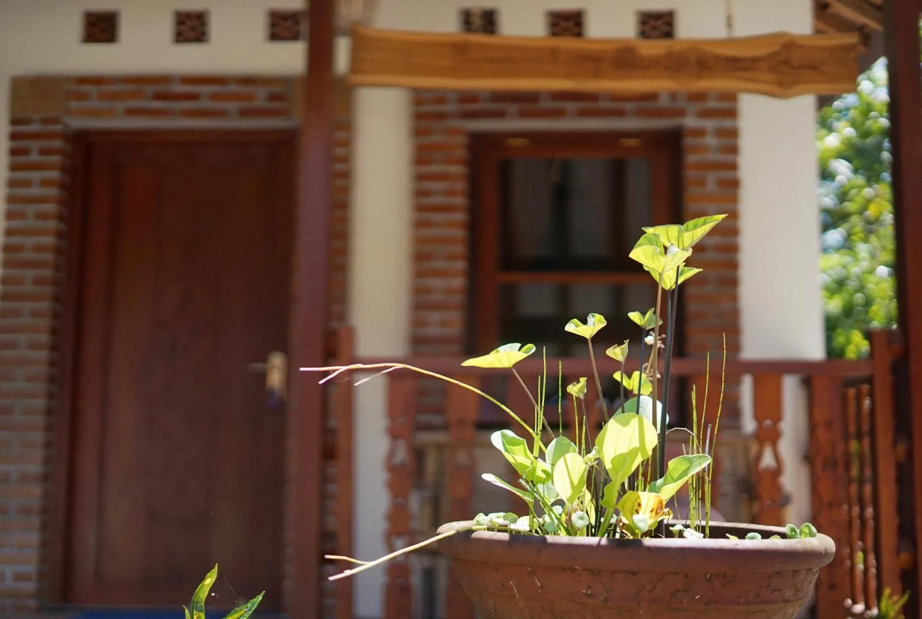 Property building in Penginapan Homestay Mudiyono Syari'ah