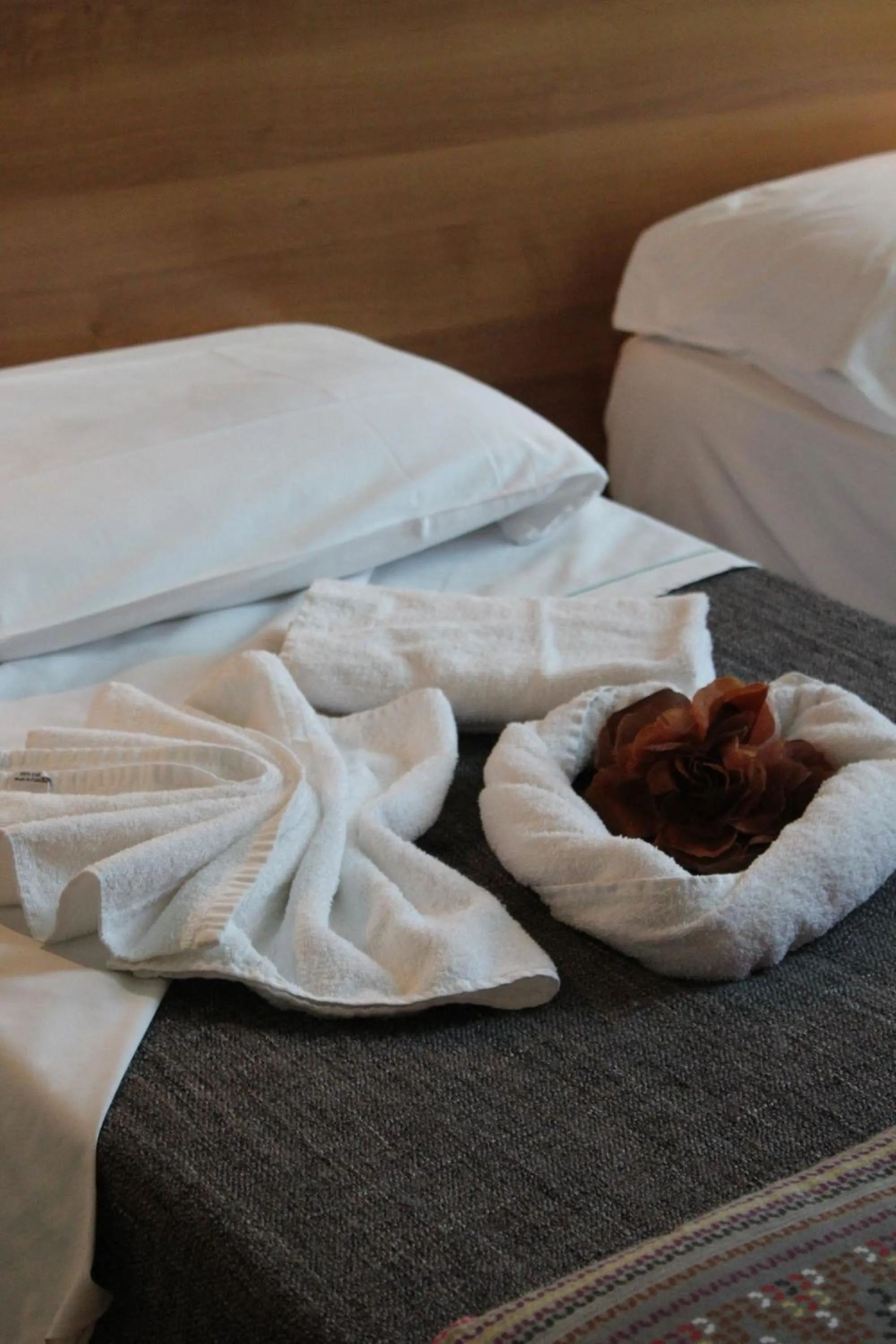 Spa and wellness centre/facilities in Ca' Grande