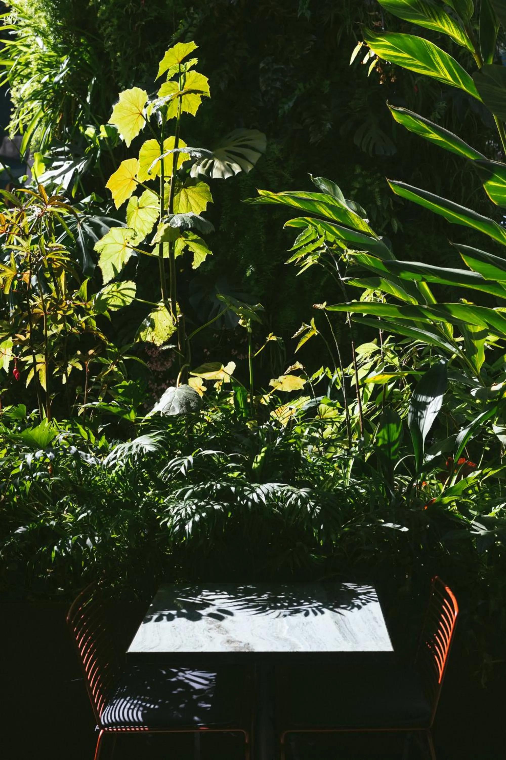 Restaurant/places to eat in Hotel Hotel - Member of Design Hotels