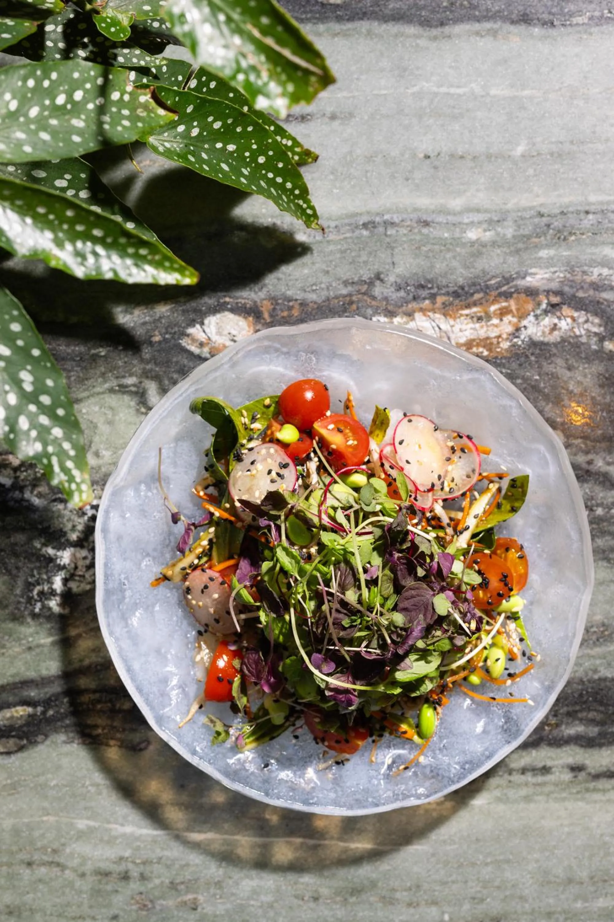 Restaurant/places to eat in Hotel Hotel - Member of Design Hotels